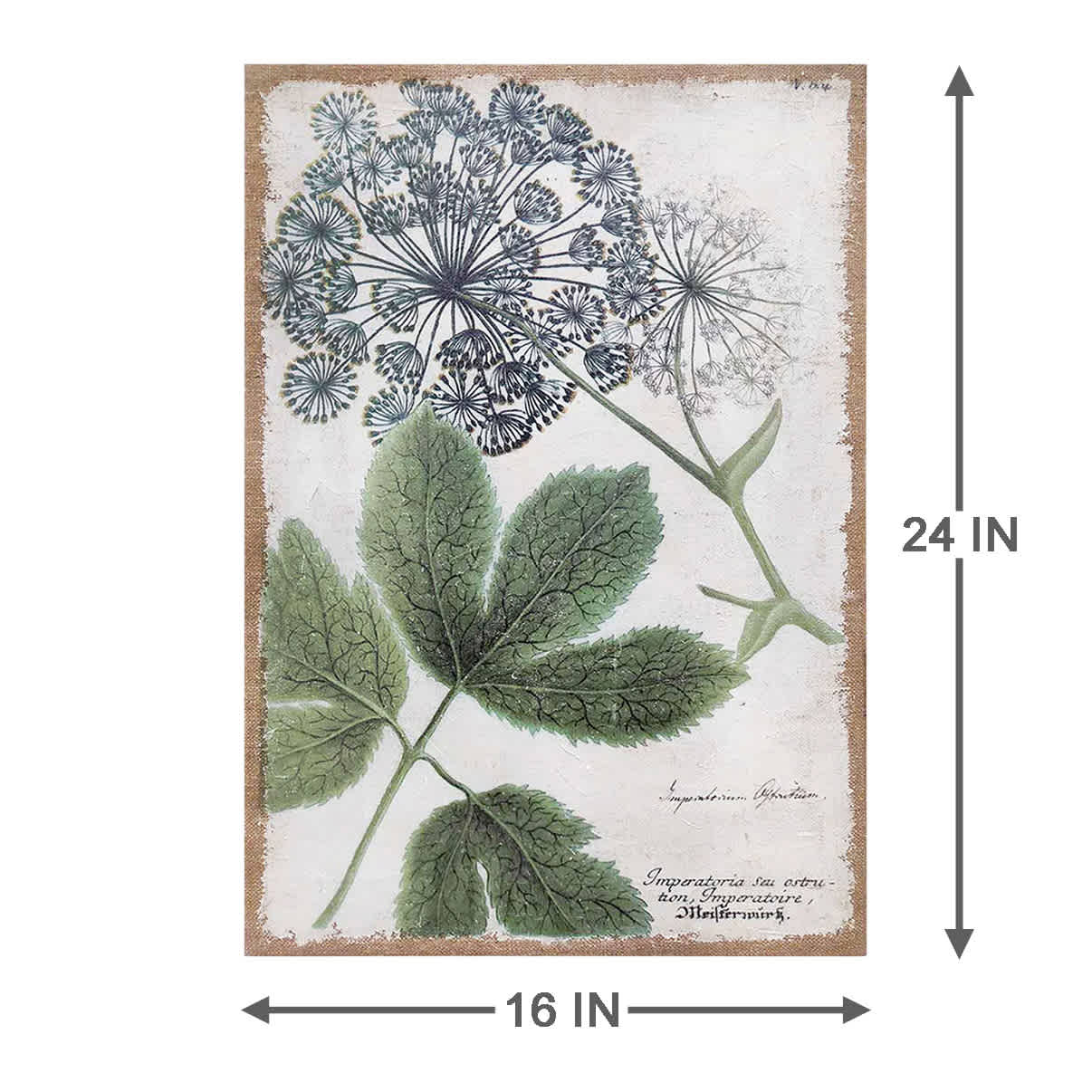 Queen Anne Lace Flower Spackled Burlap Canvas Wall Art, 16x24