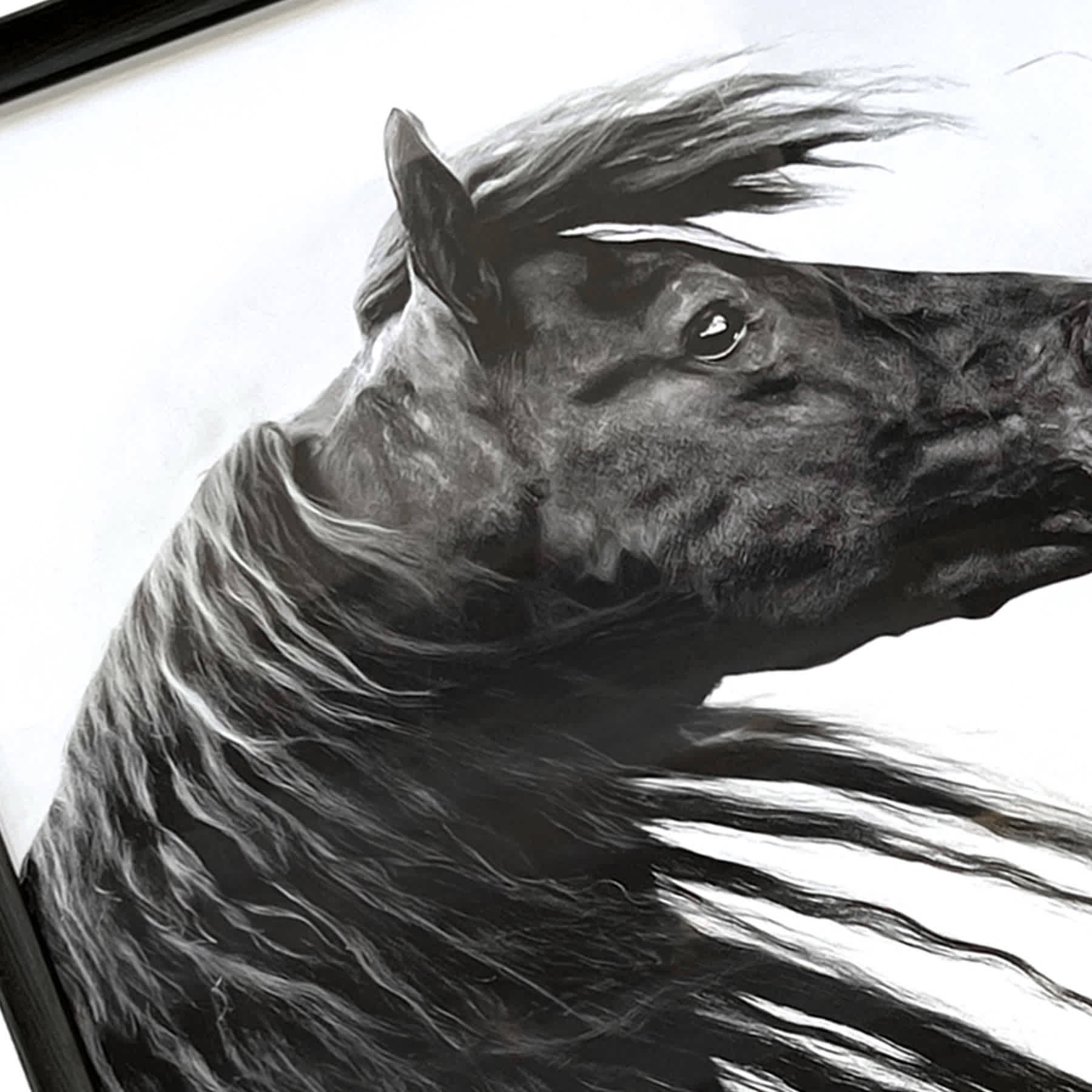Glass Framed Black & White Horse Portrait II Wall Art, 25x37