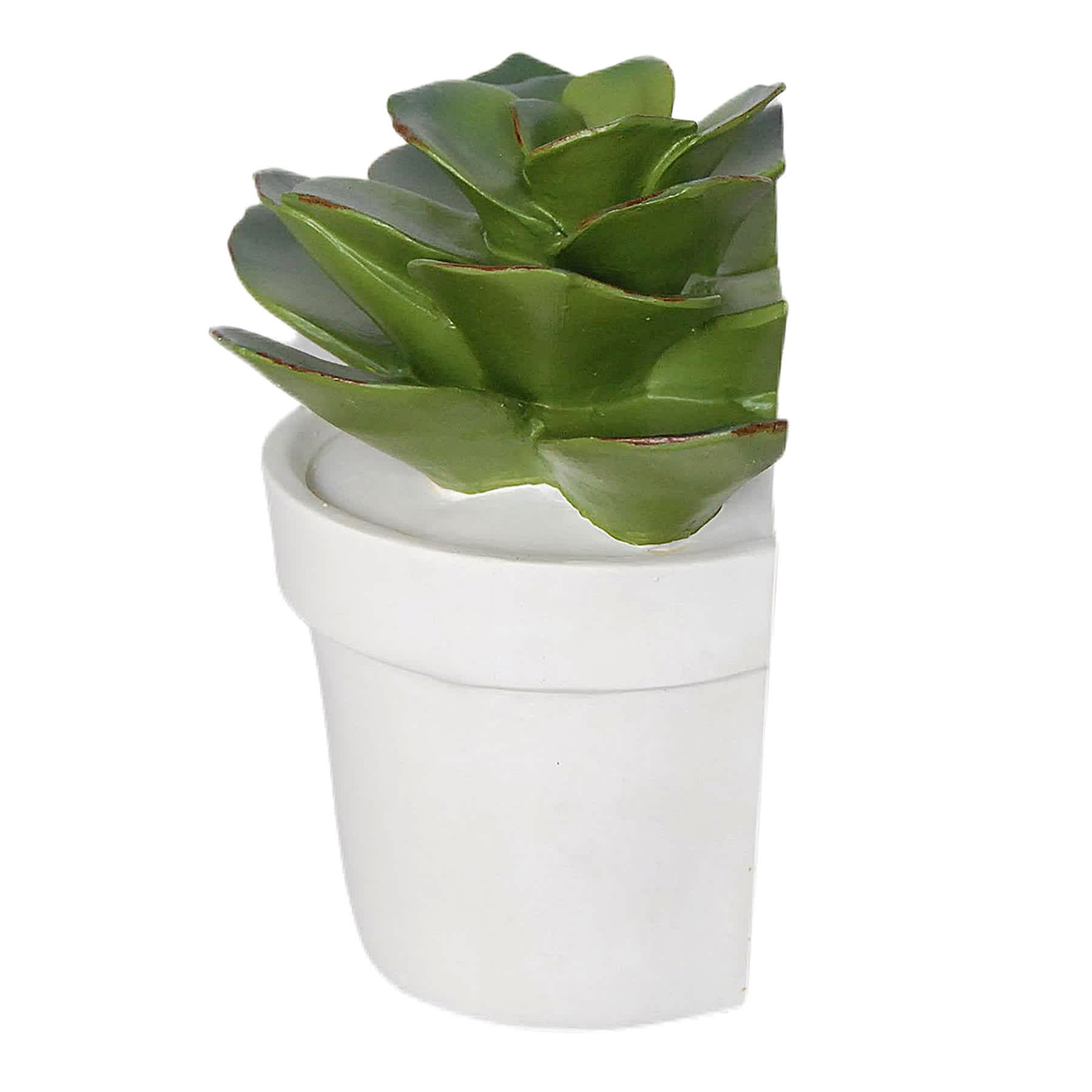 1-Piece Succulent Bookend, 6"