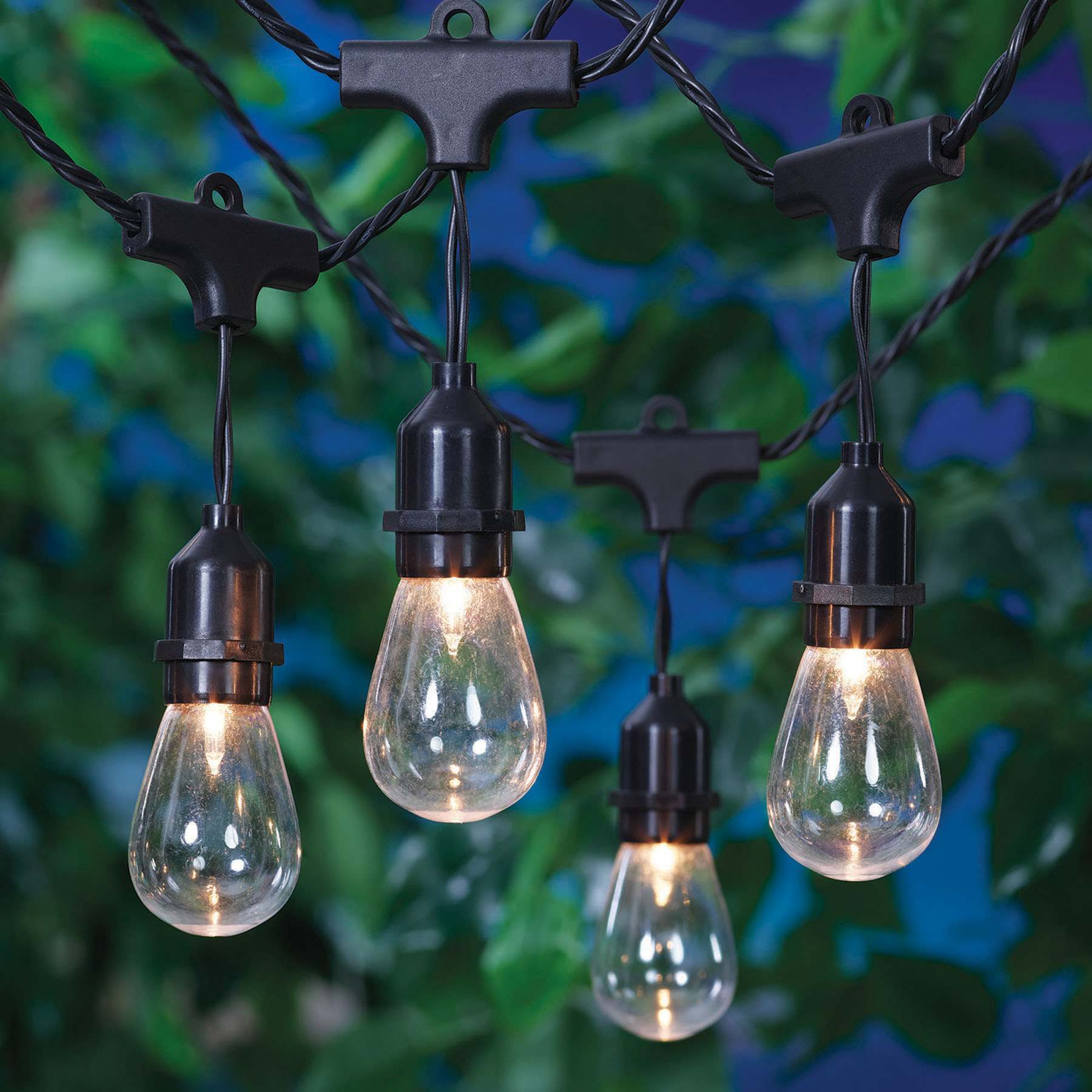 30-Count Clear D40 Edison String Lights with Black Commercial Wire