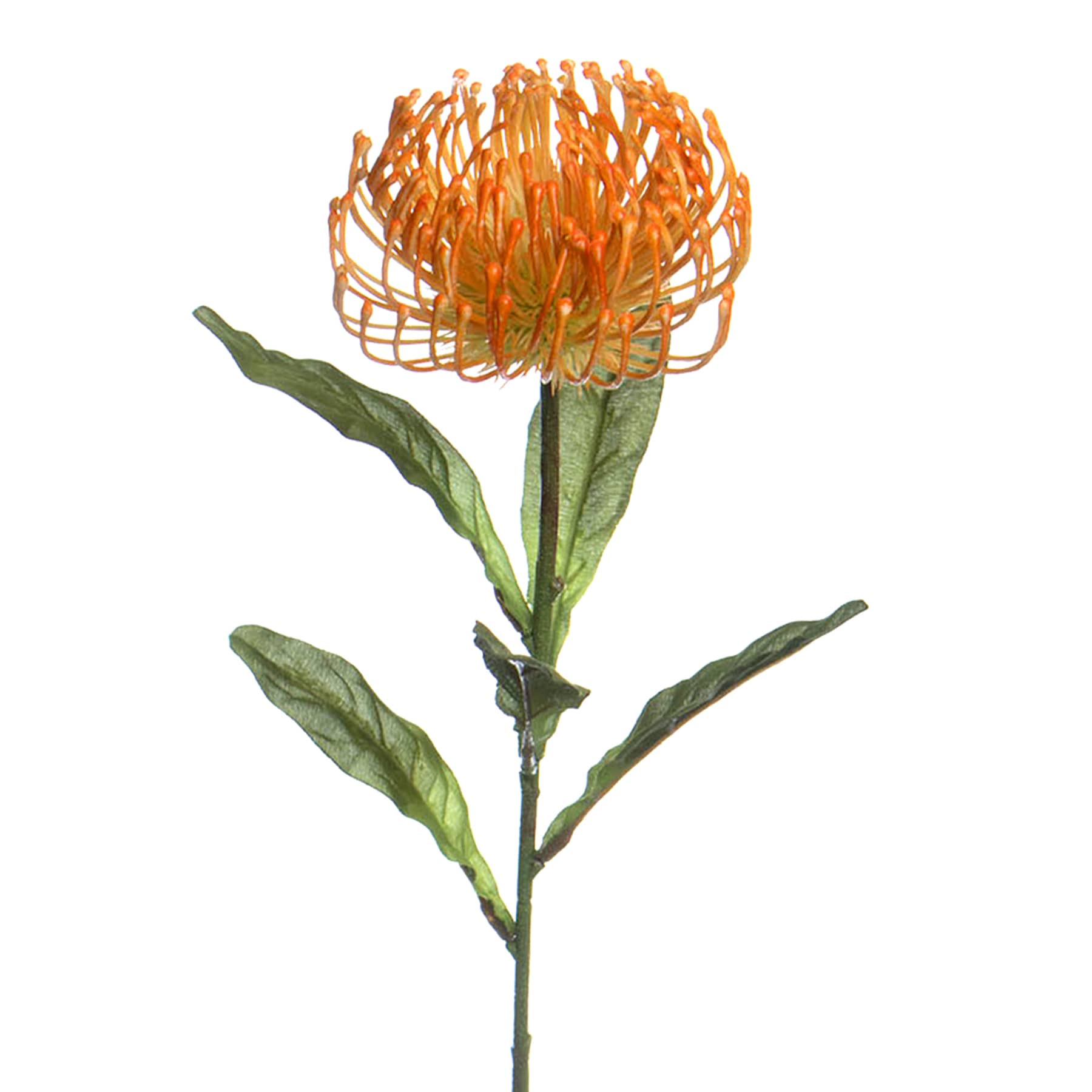 Orange Protea Floral Stem, 27"