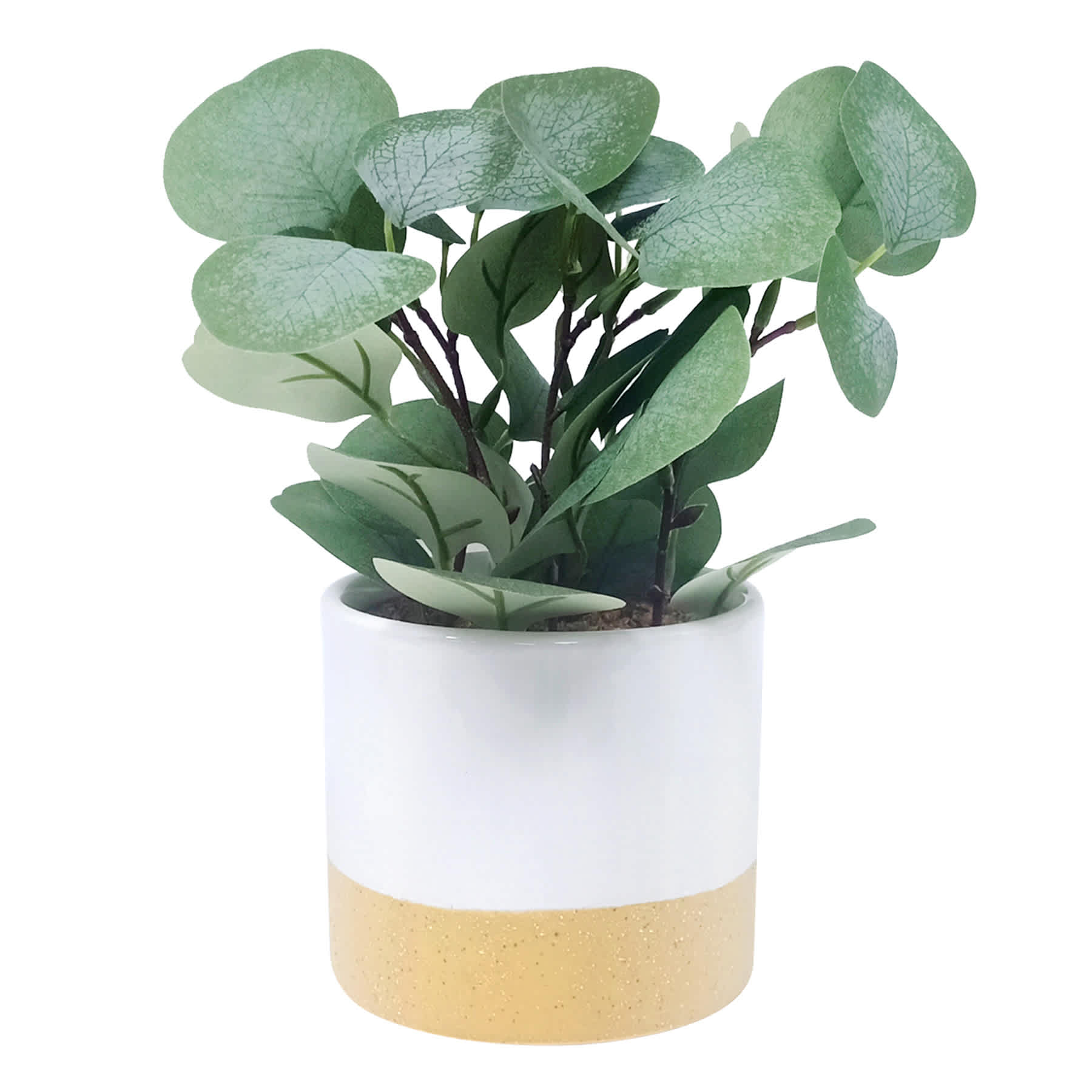 Eucalyptus Arrangement in Two-Toned Pot, 17"