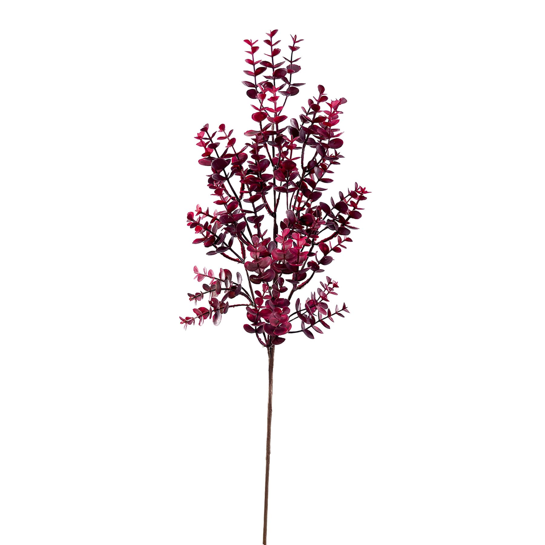 Red Leaves Stem, 30.5"