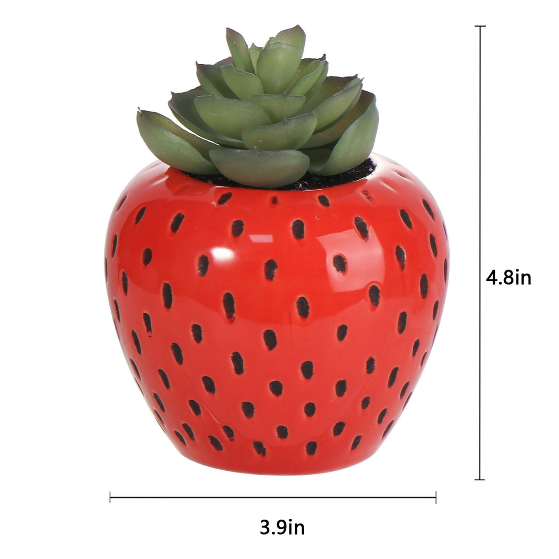 Mini Succulents in Red Strawberry Pot, 4.8"
