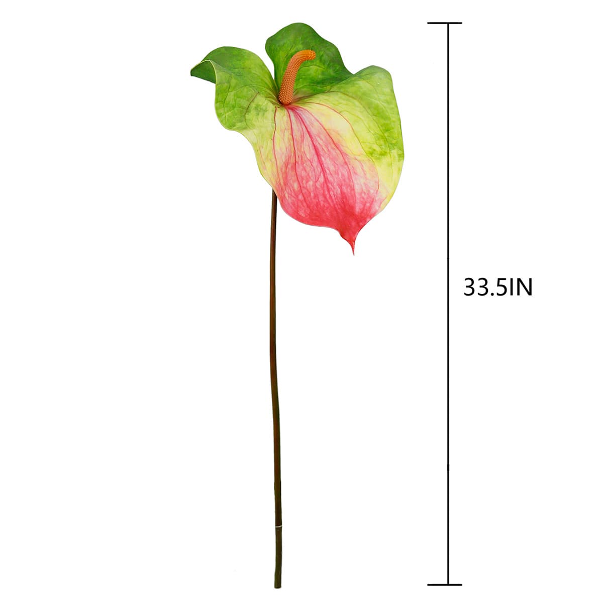 Green & Pink Anthurium Stem, 33.5"