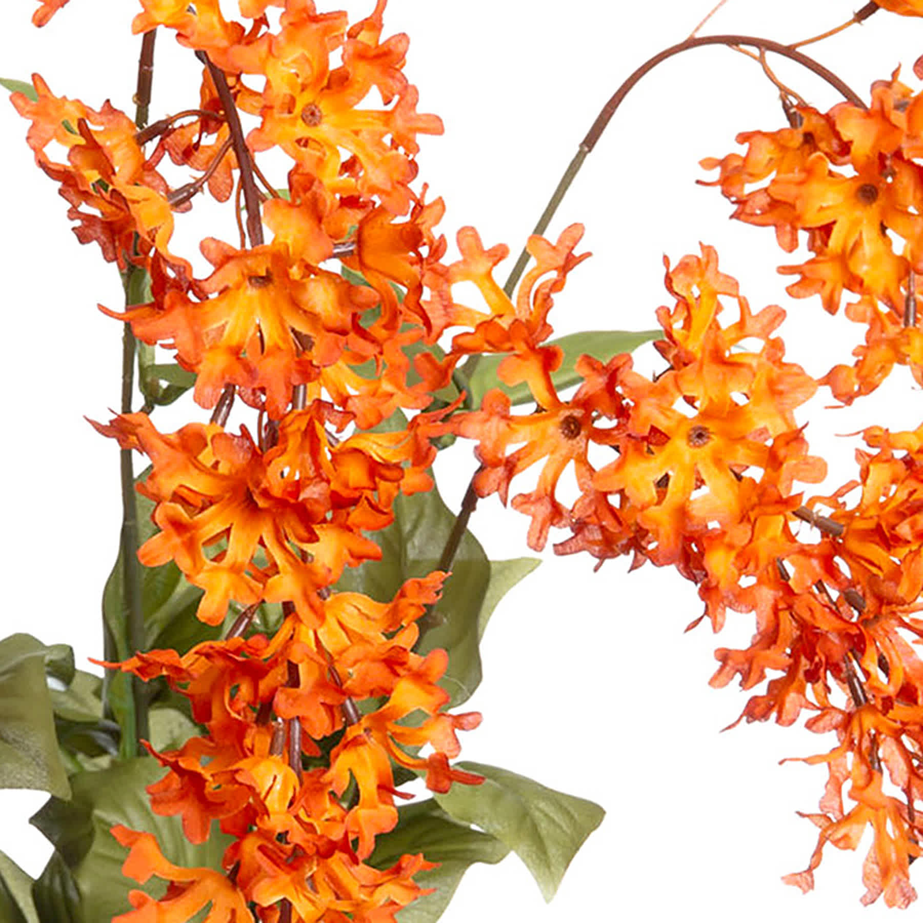 Hanging Orange Lilac Bush, 25"