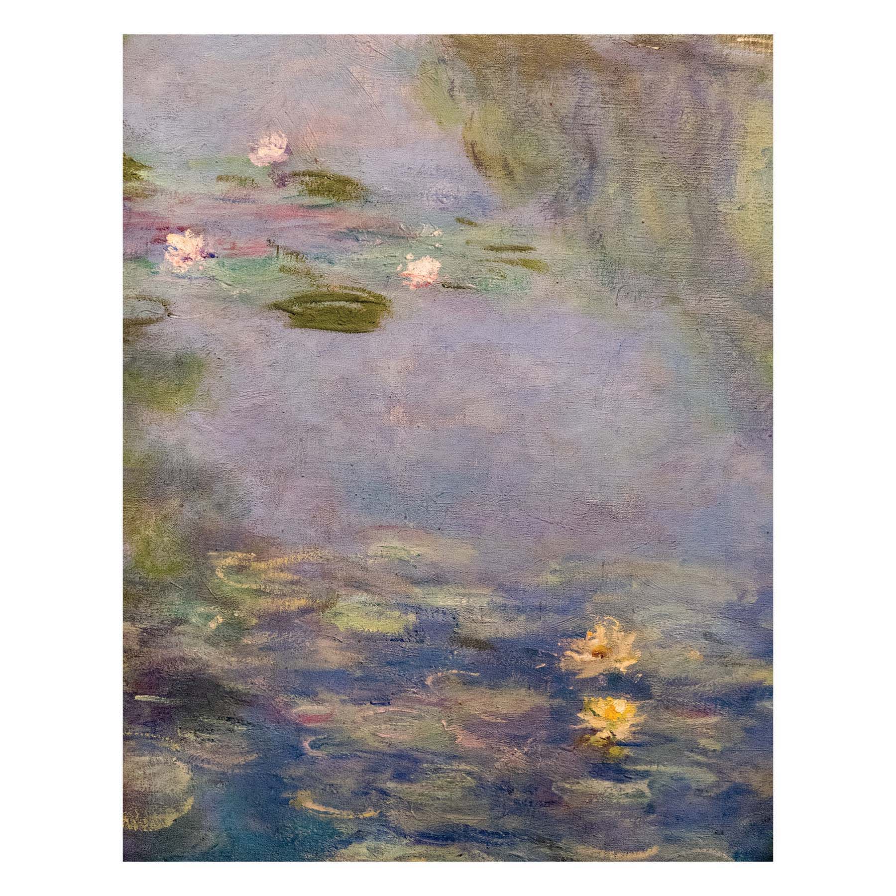 Nymphaea's Canvas Wall Art, 11x14