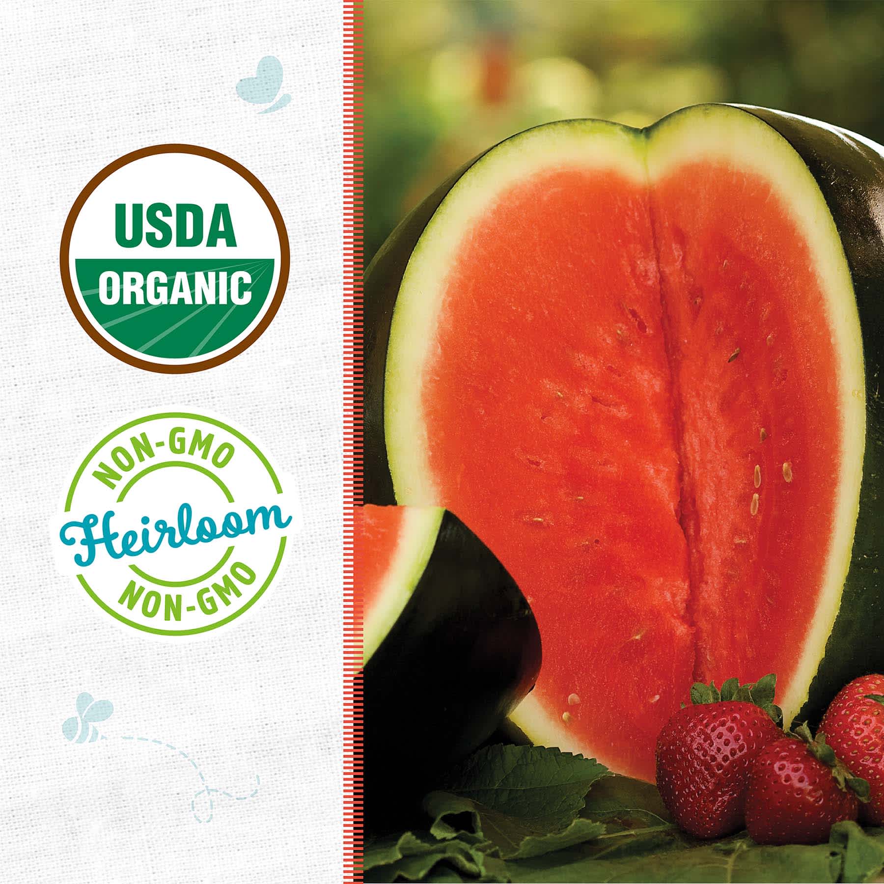 Back to Roots Heirloom Seeds, Watermelon Sugar Baby