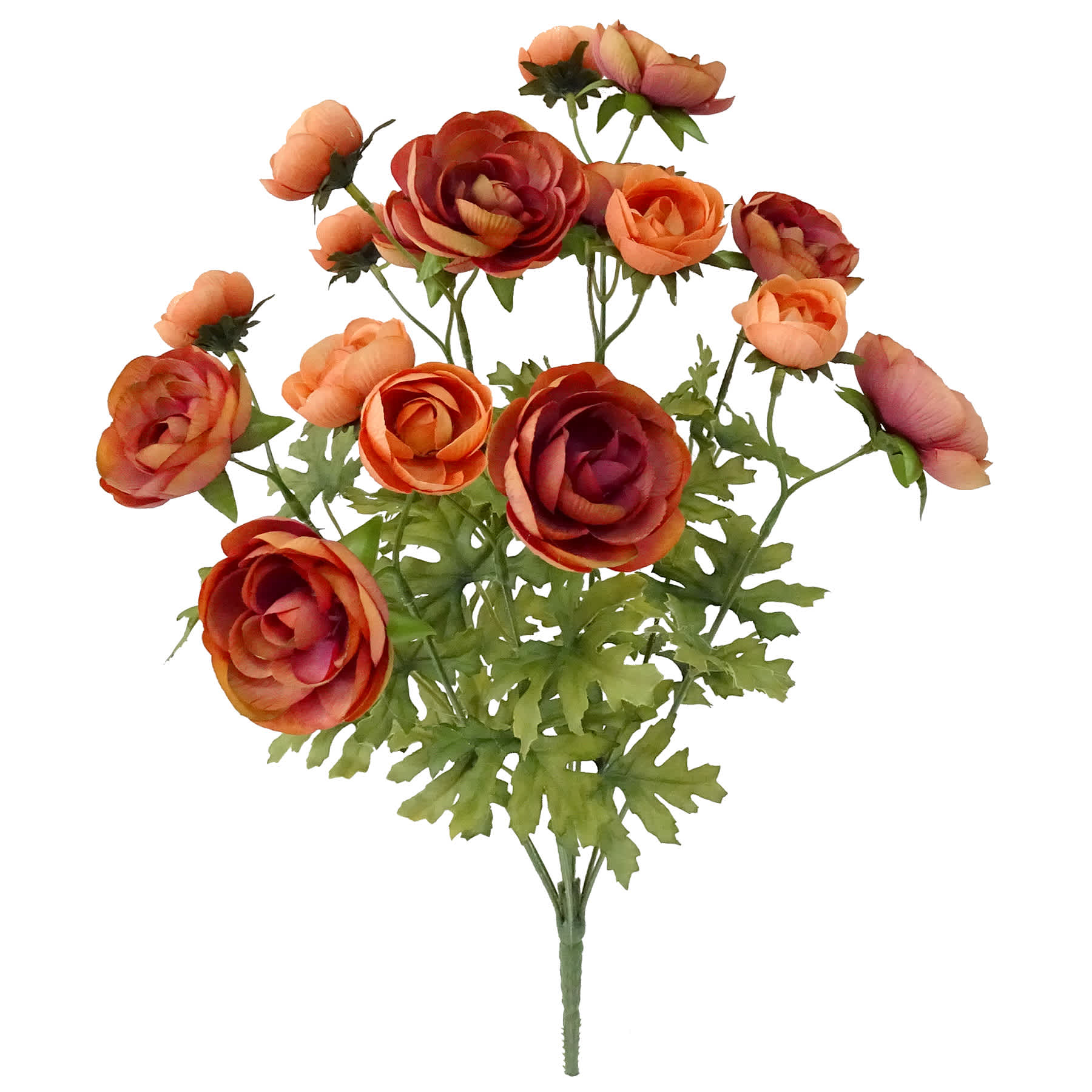 Brown 18-Head Ranunculus Bush, 18"