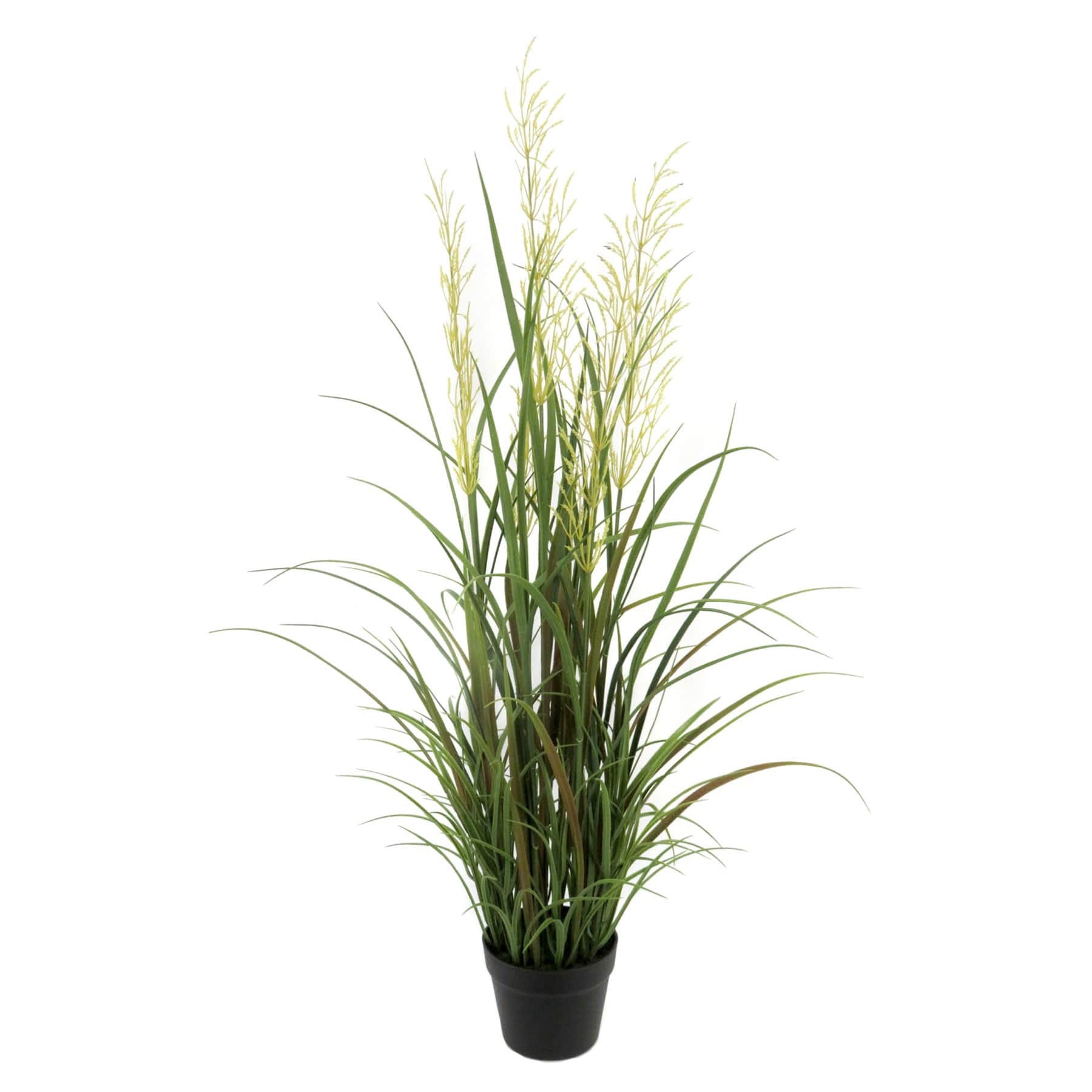Potted Pampas Grass Bush, 45"