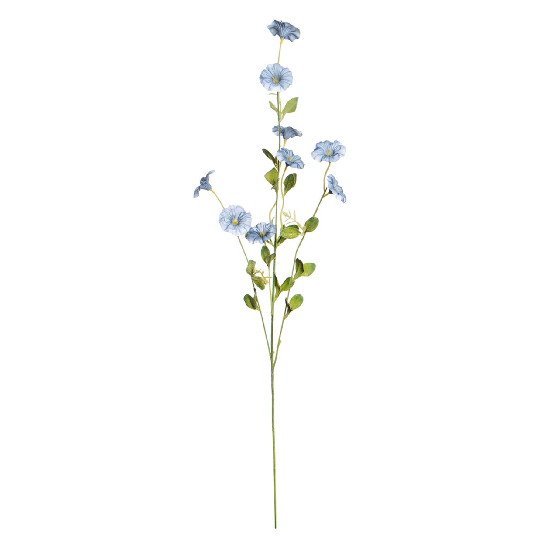 Blue Morning Glory Spray, 34"