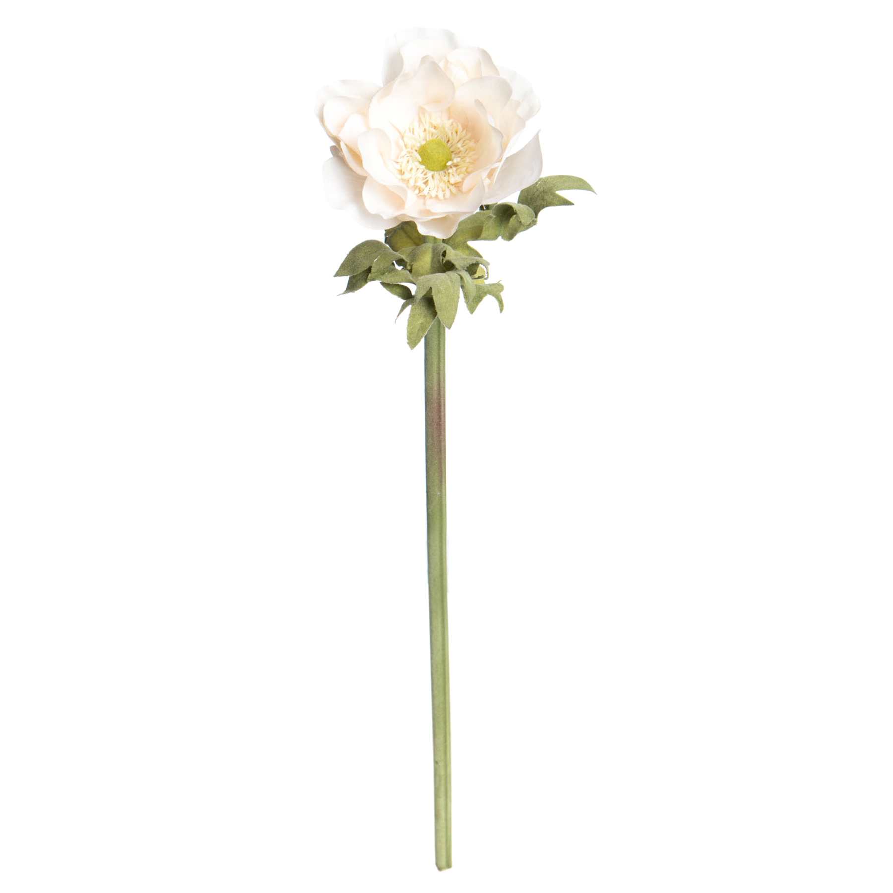 Willow Crossley White Anemone Floral Stem, 17"