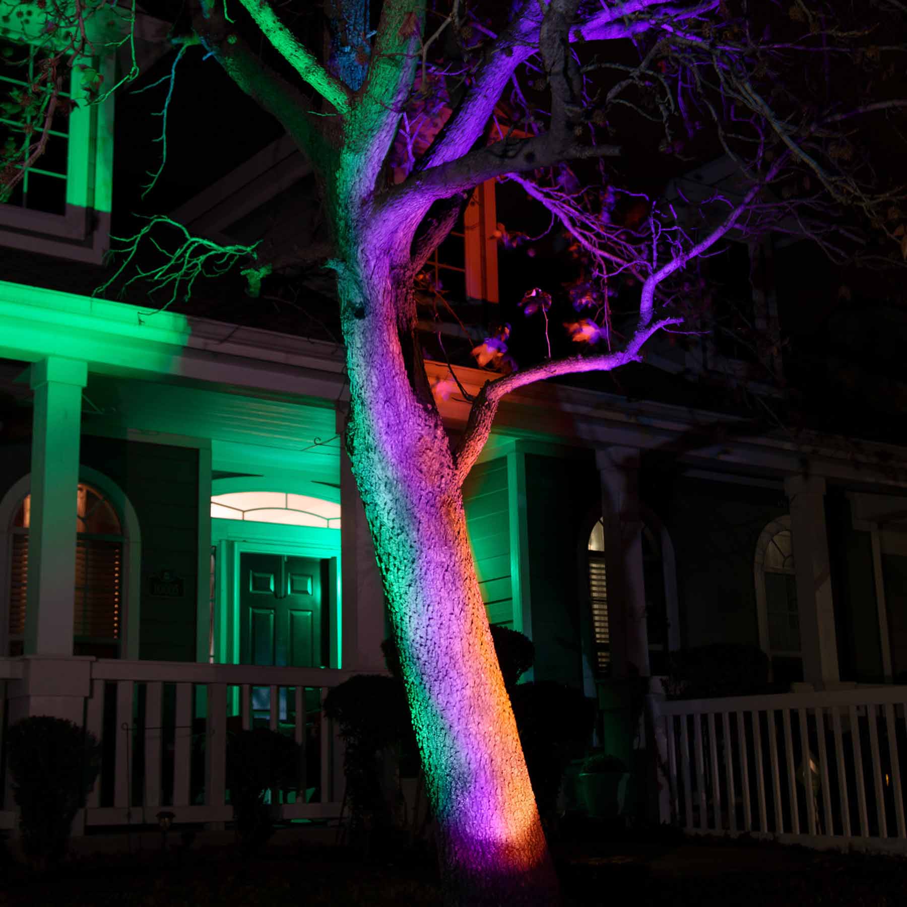Orange, Purple & Green Halloween Tree Lights Lightshow