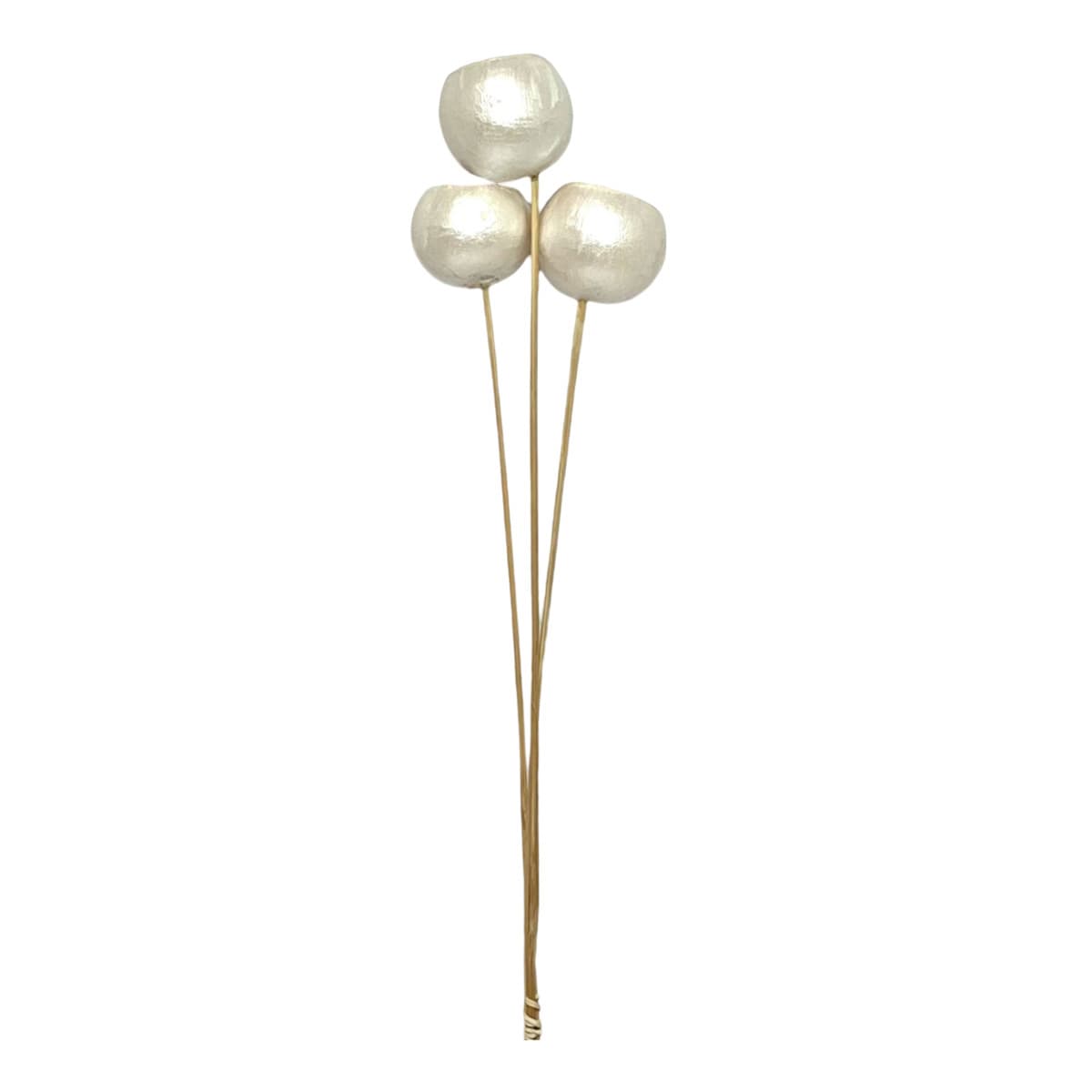 Pearlescent Bell Cups
