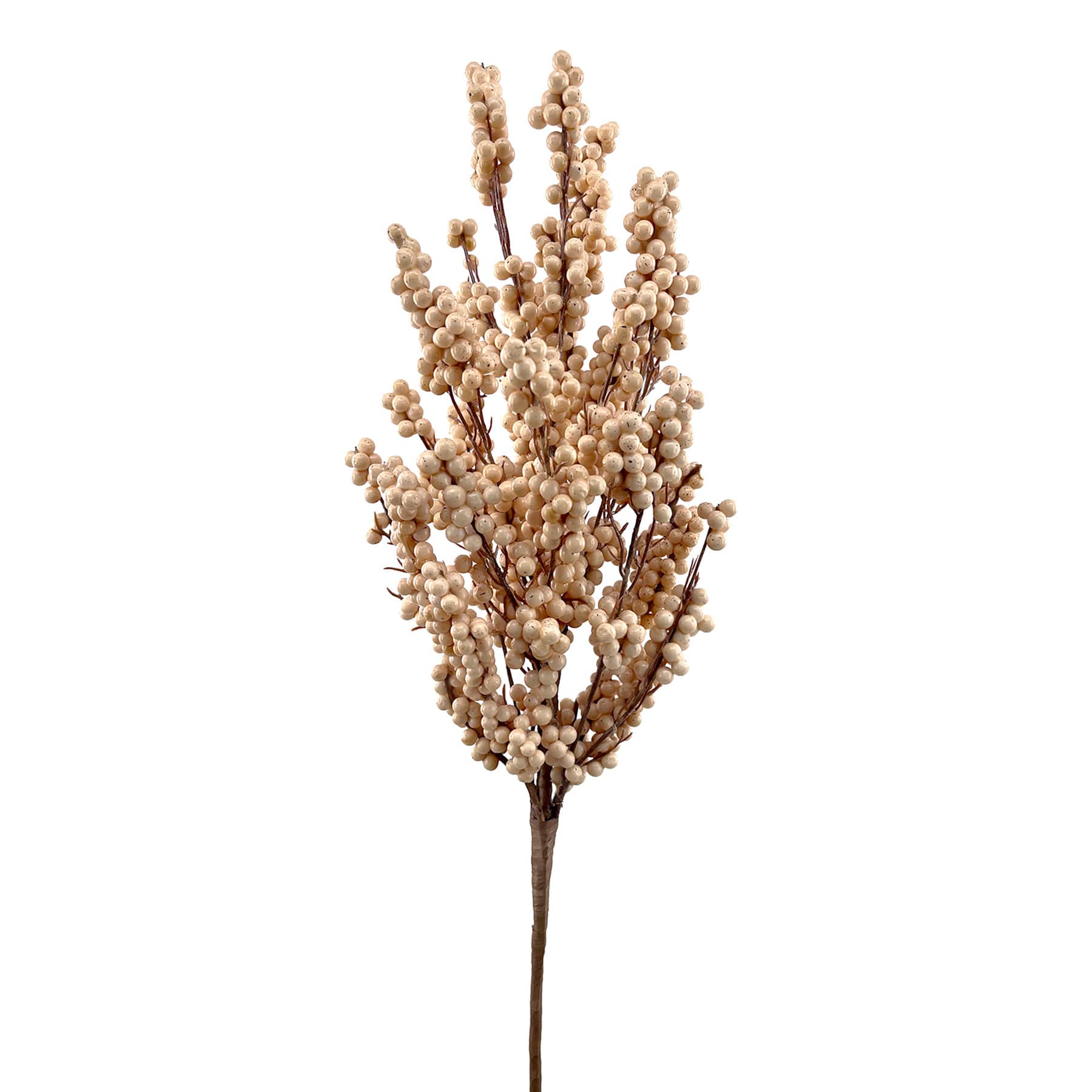 Cream Berries Bush, 20"