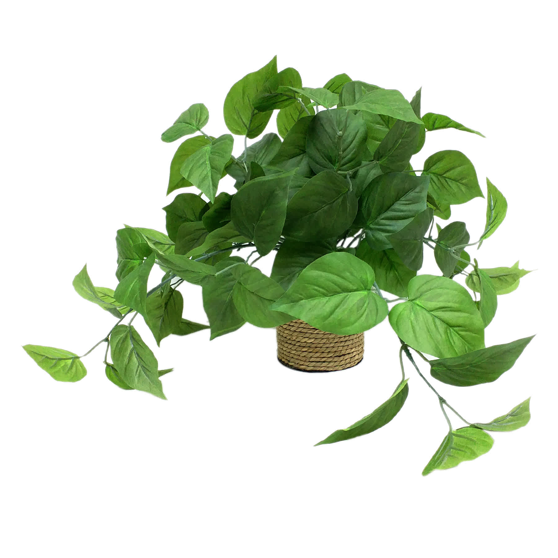 Greenery Rope in Pot, 18"