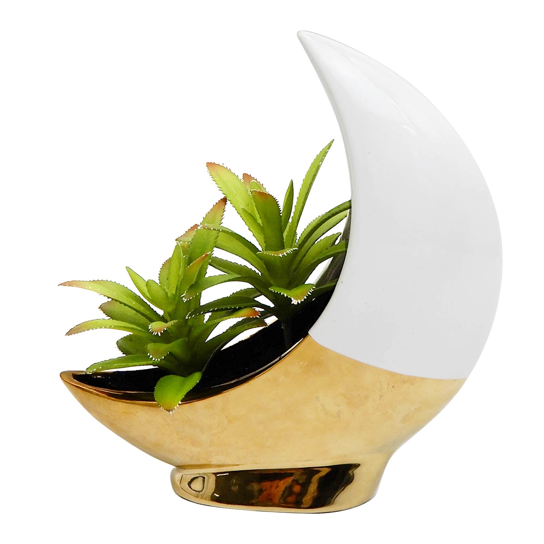 Succulents in Moon Vase, 8.5"