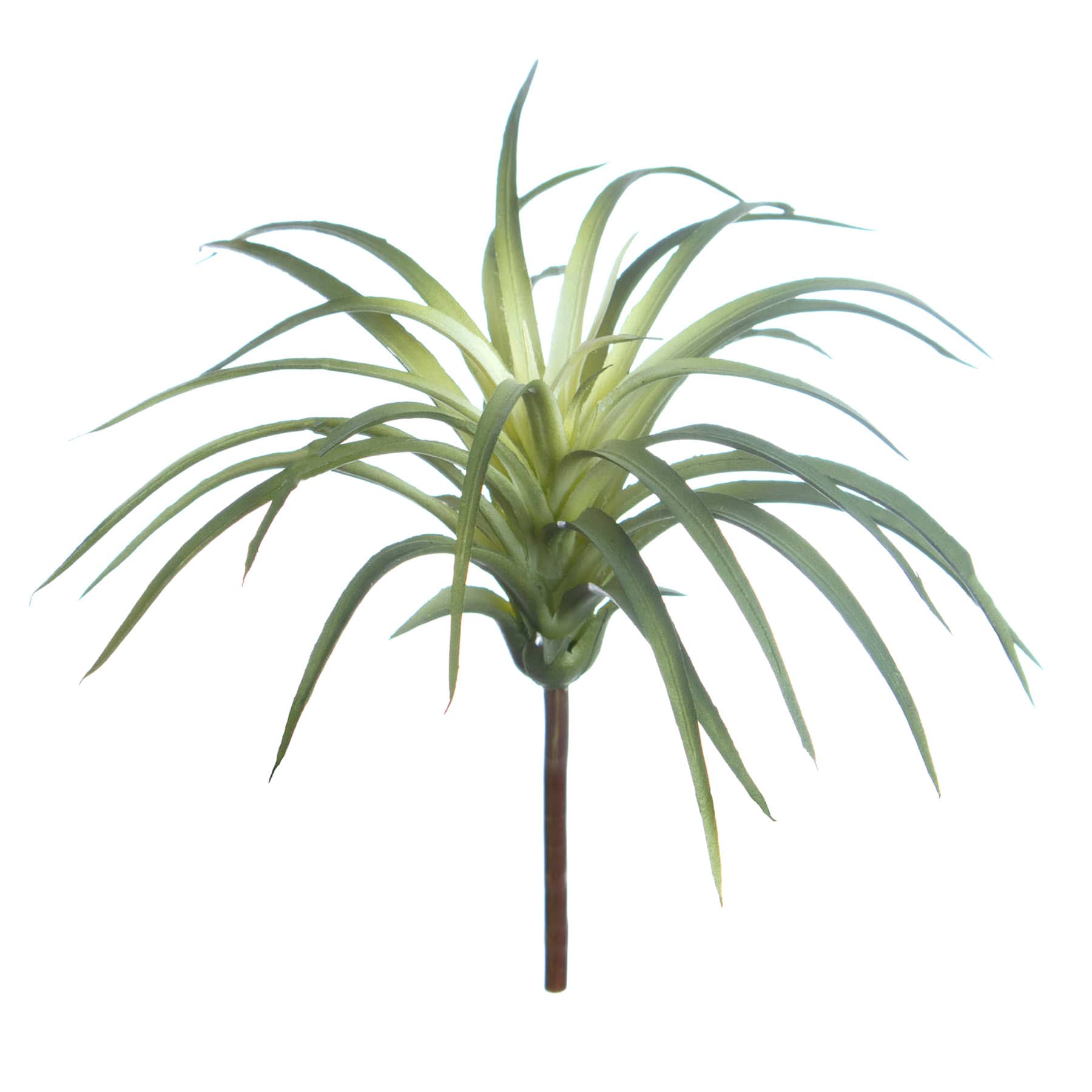 Tillandsia Pick, 7"