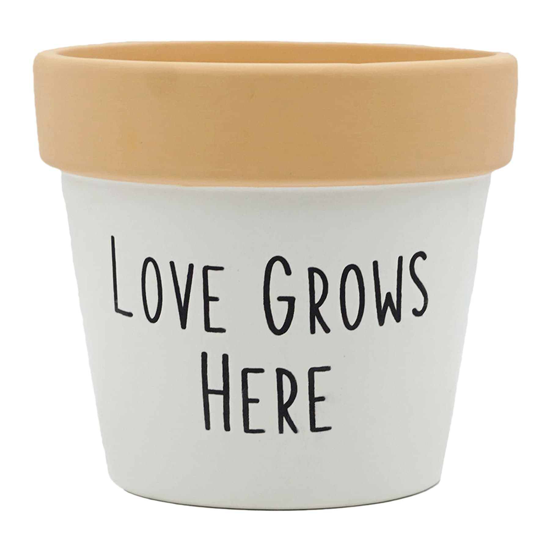 Indoor Love Grows Here Ceramic Planter, 5"