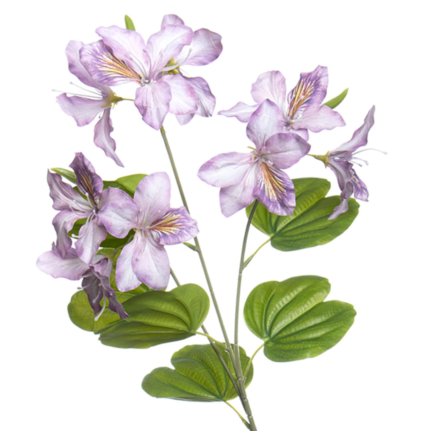 Purple Bauhinia Spray, 29"