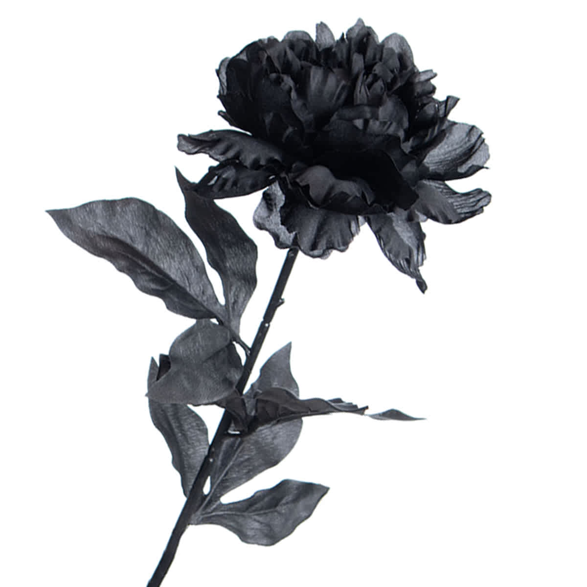 Spellbound Peony Stem, 27"