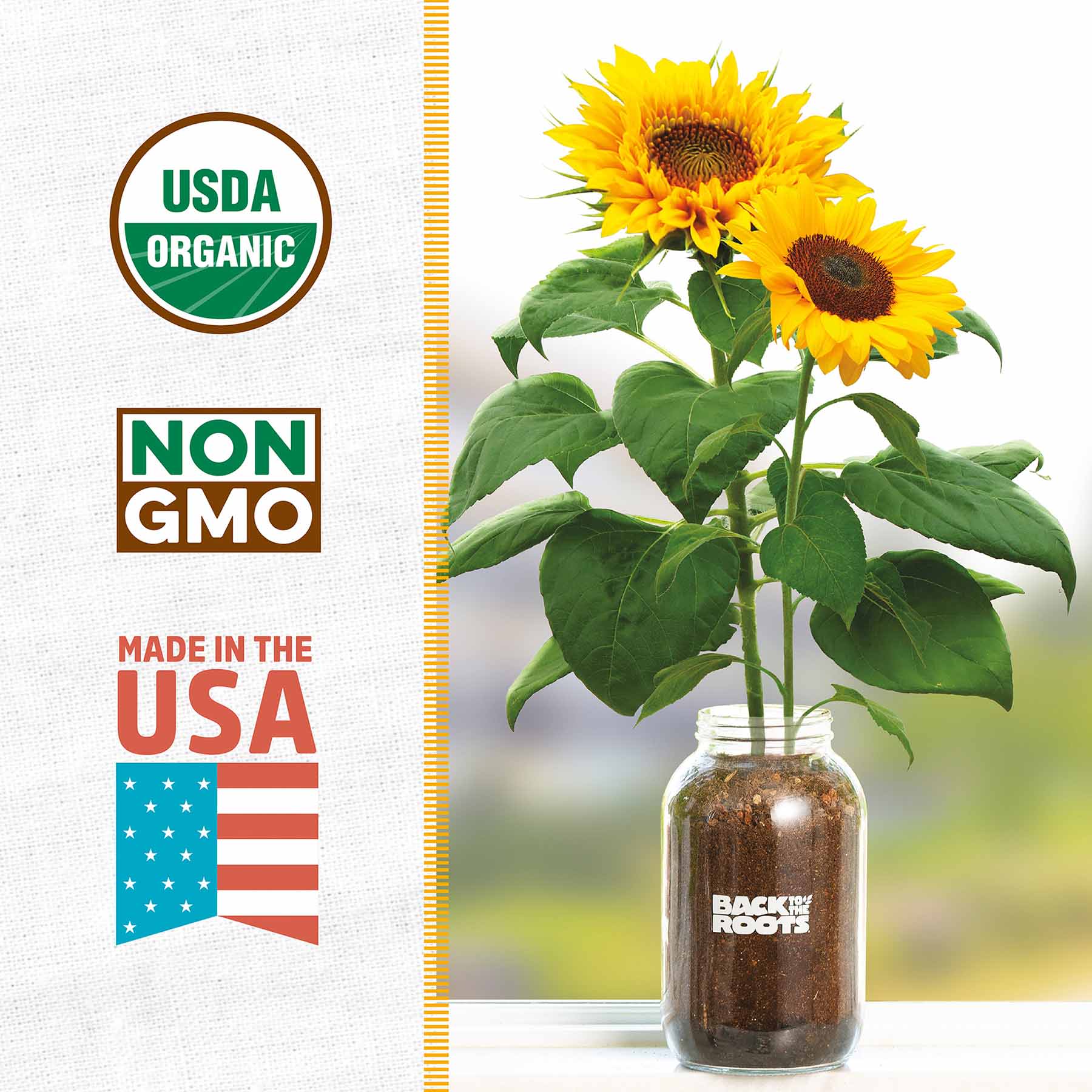 Back to Roots Windowsill Organic Sunflower Grow Kit