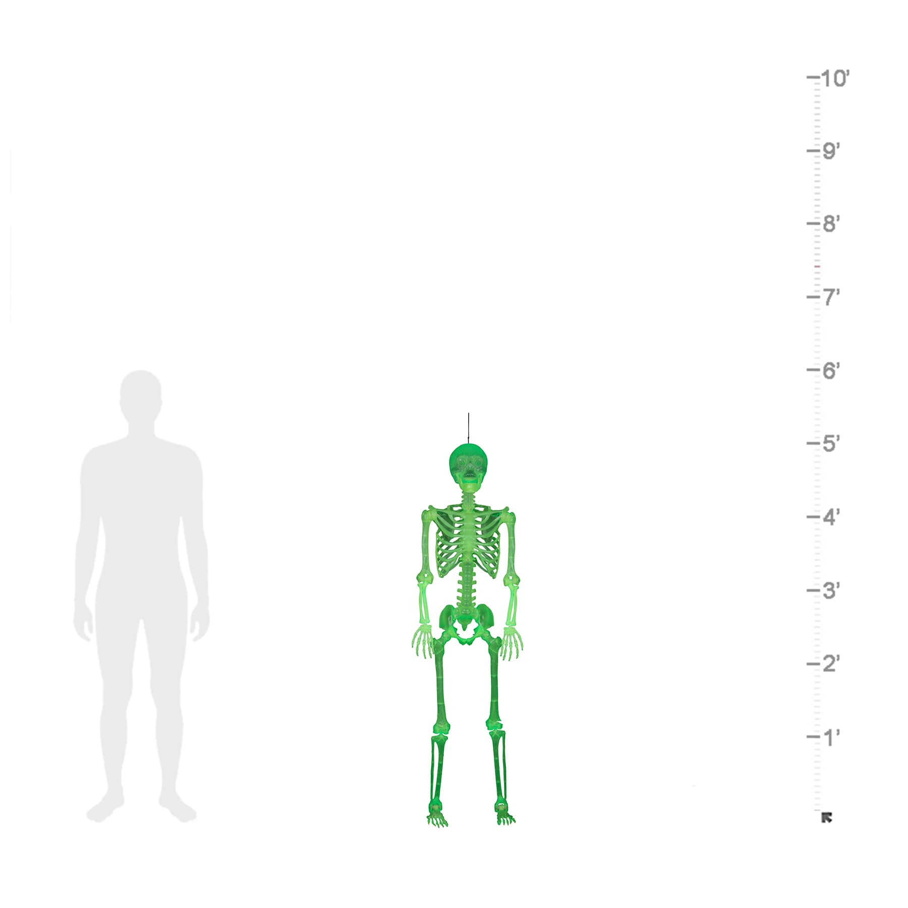 Glow in the Dark Halloween Skeleton, 5'
