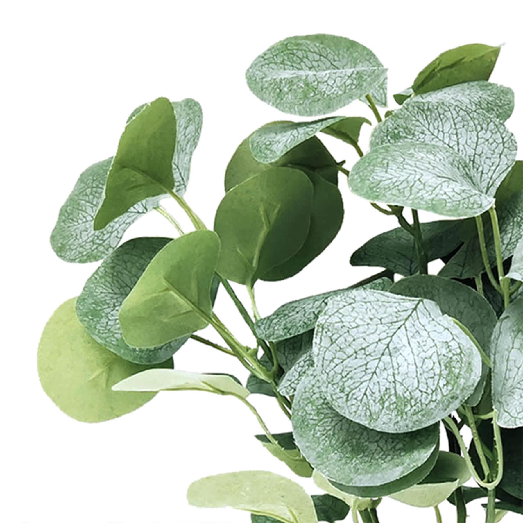 Eucalyptus Spray, 16"