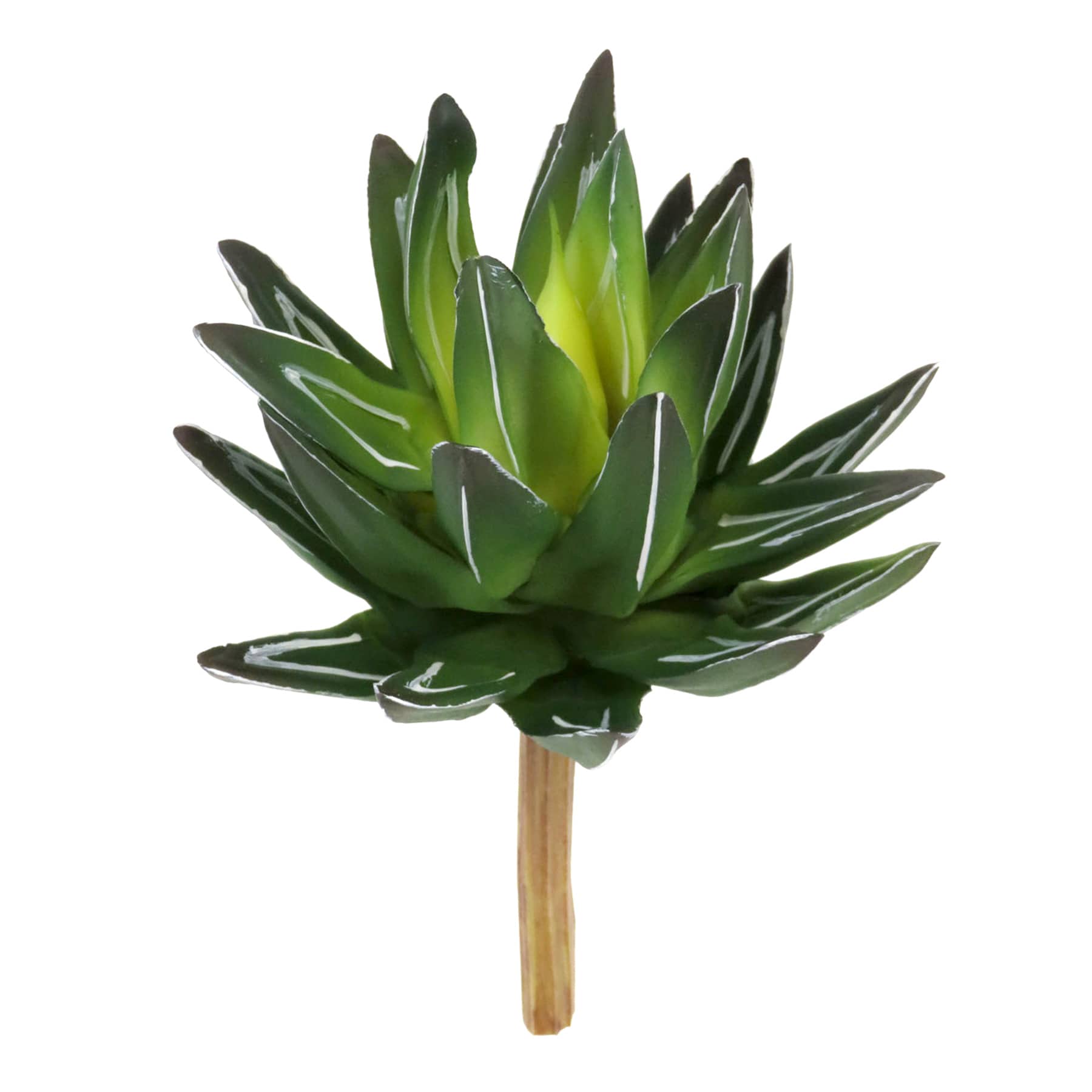 2-Tone Green Aloe Pick, 8.5"