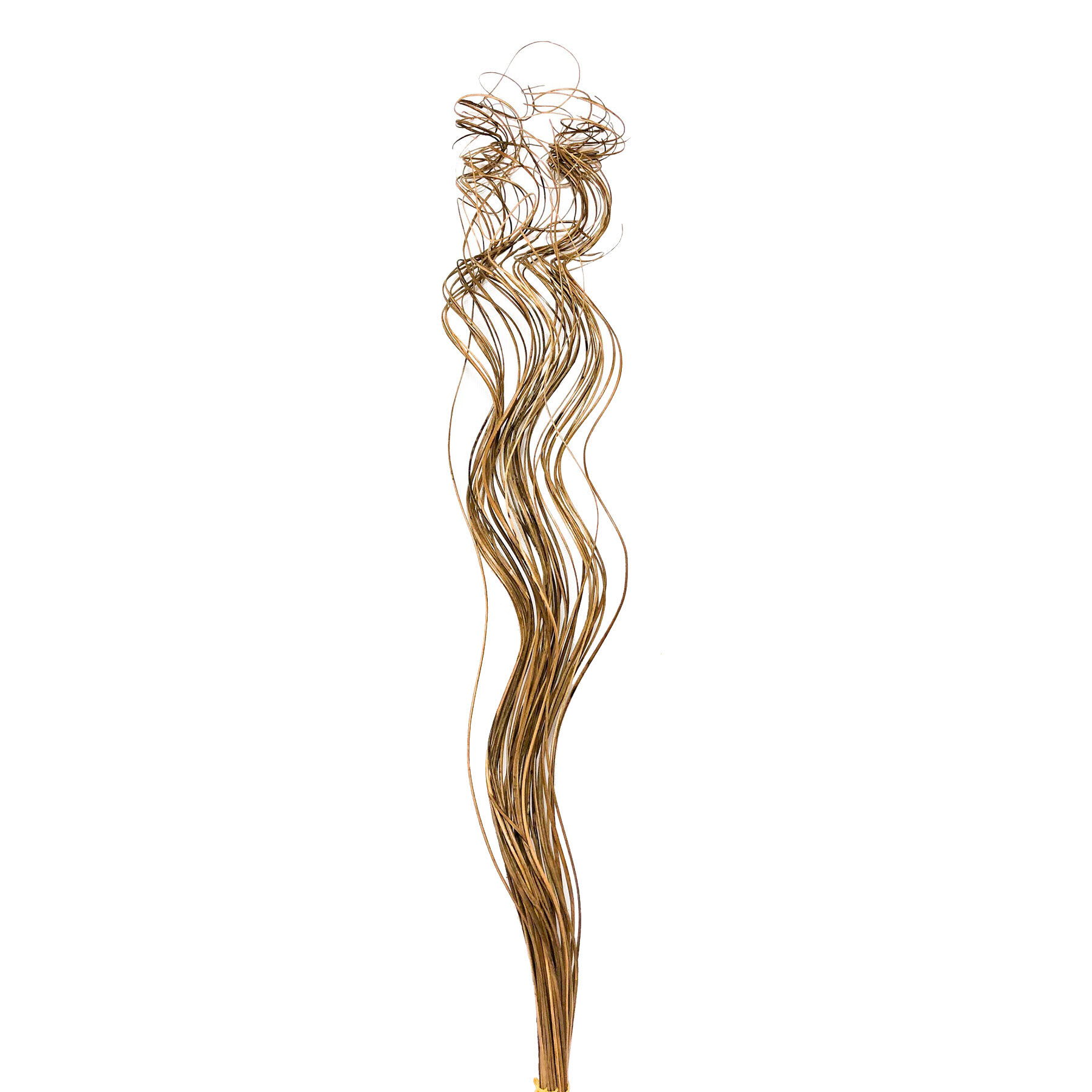 Natural Curly Ting Bundle, 28"