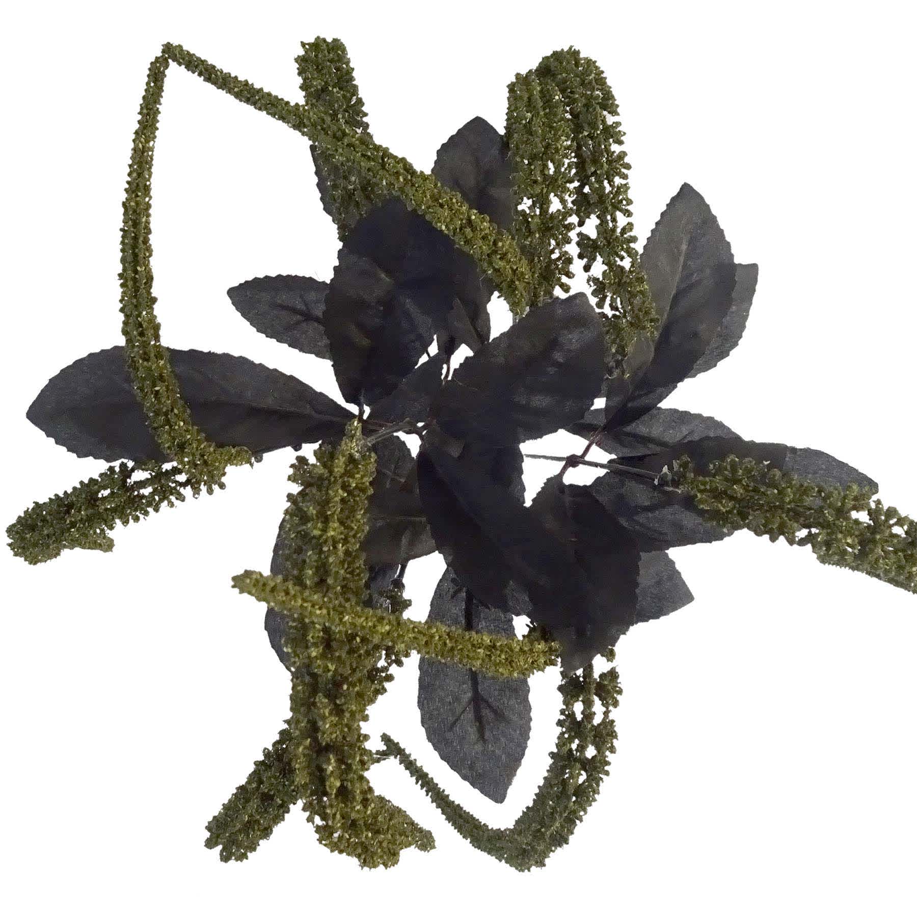 Grim Gardens Green Amaranthus Bush