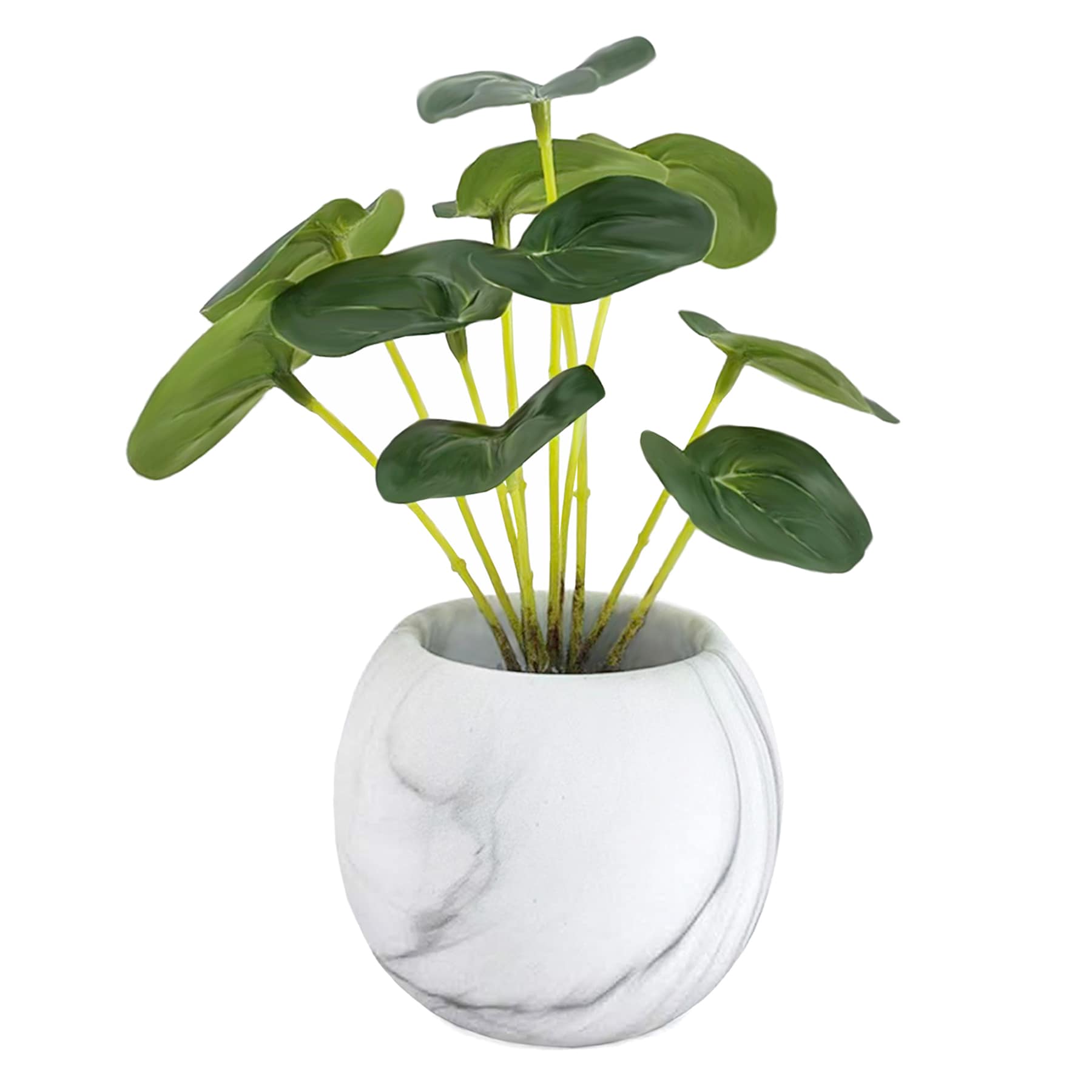 Greenery in White Cement Pot, 7"