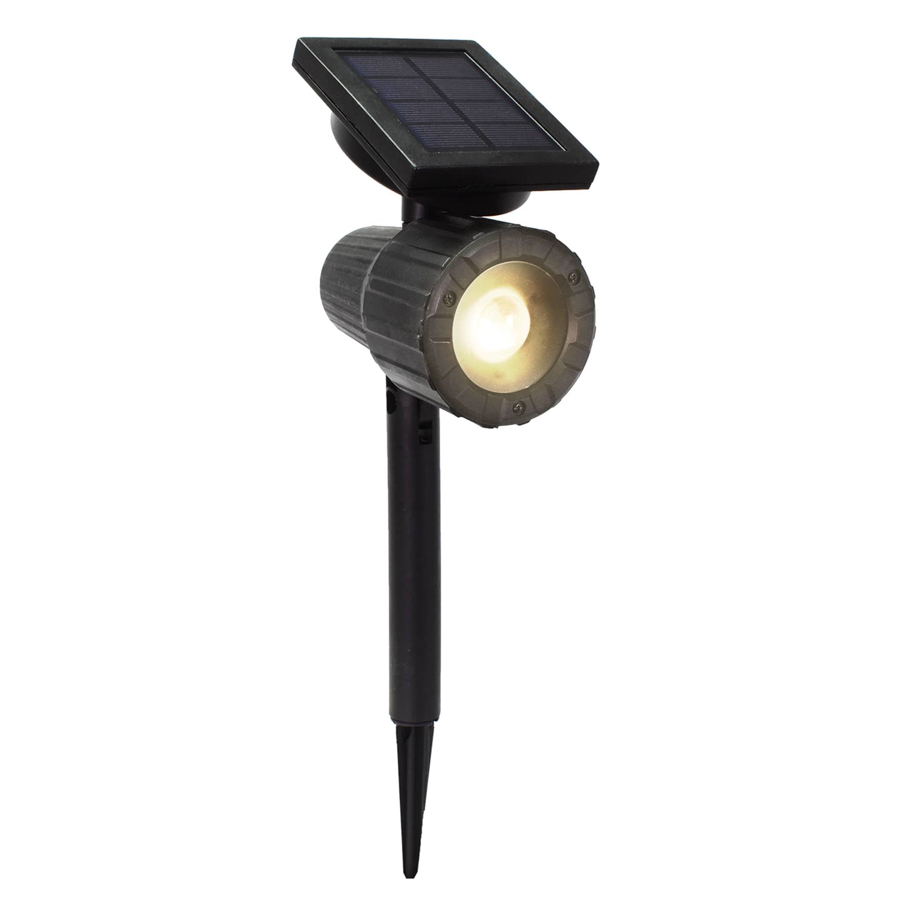 20-Lumen Solar Black Spotlight