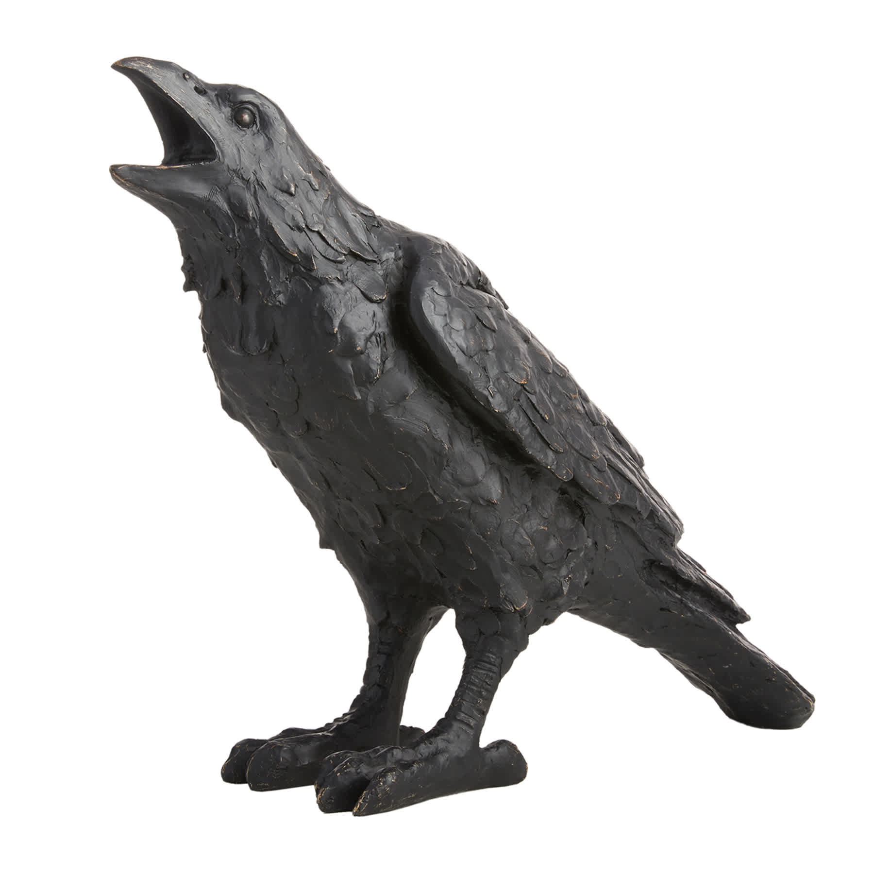 Midnight Shadows Black Raven Decor, 16"