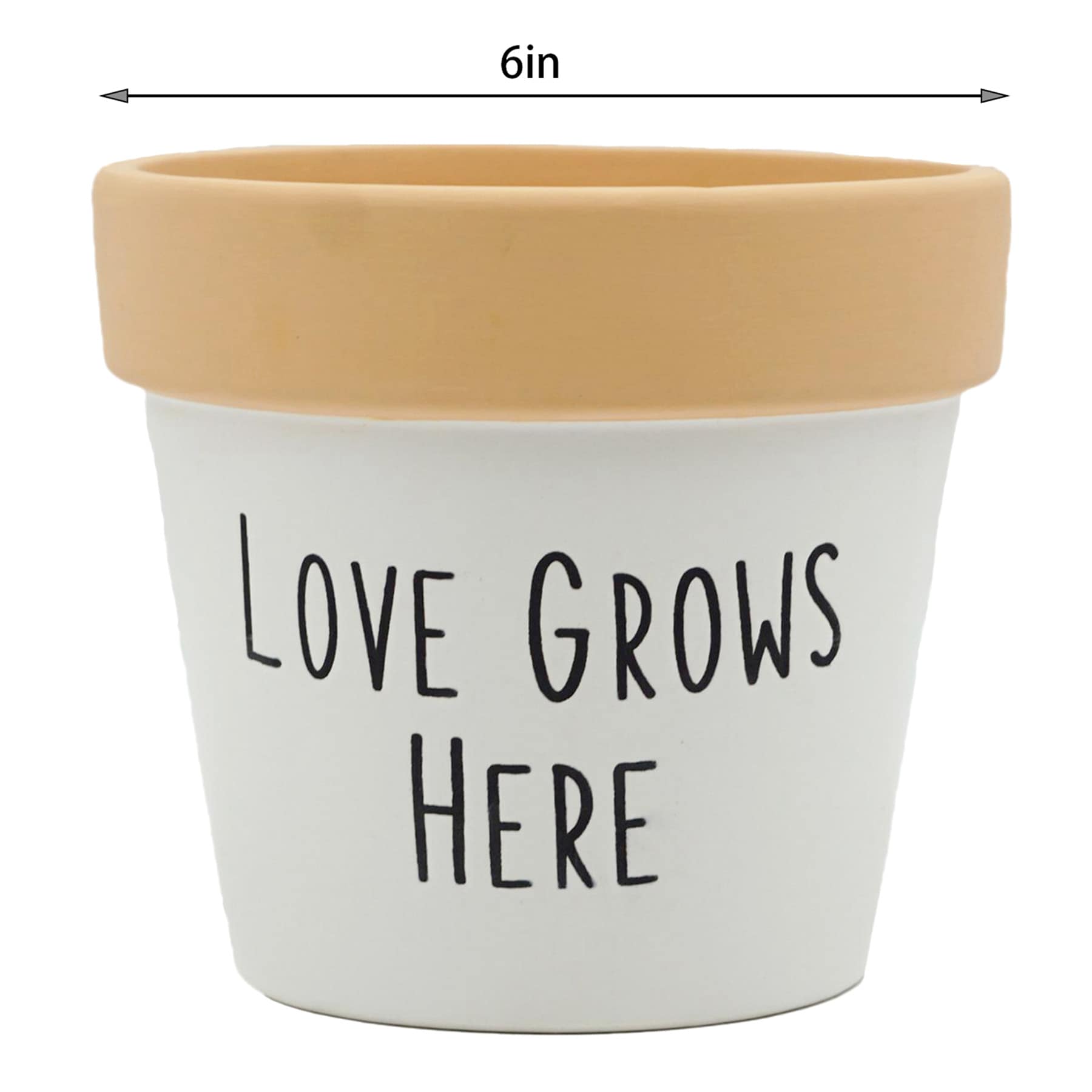 Indoor Love Grows Here Ceramic Planter, 5"