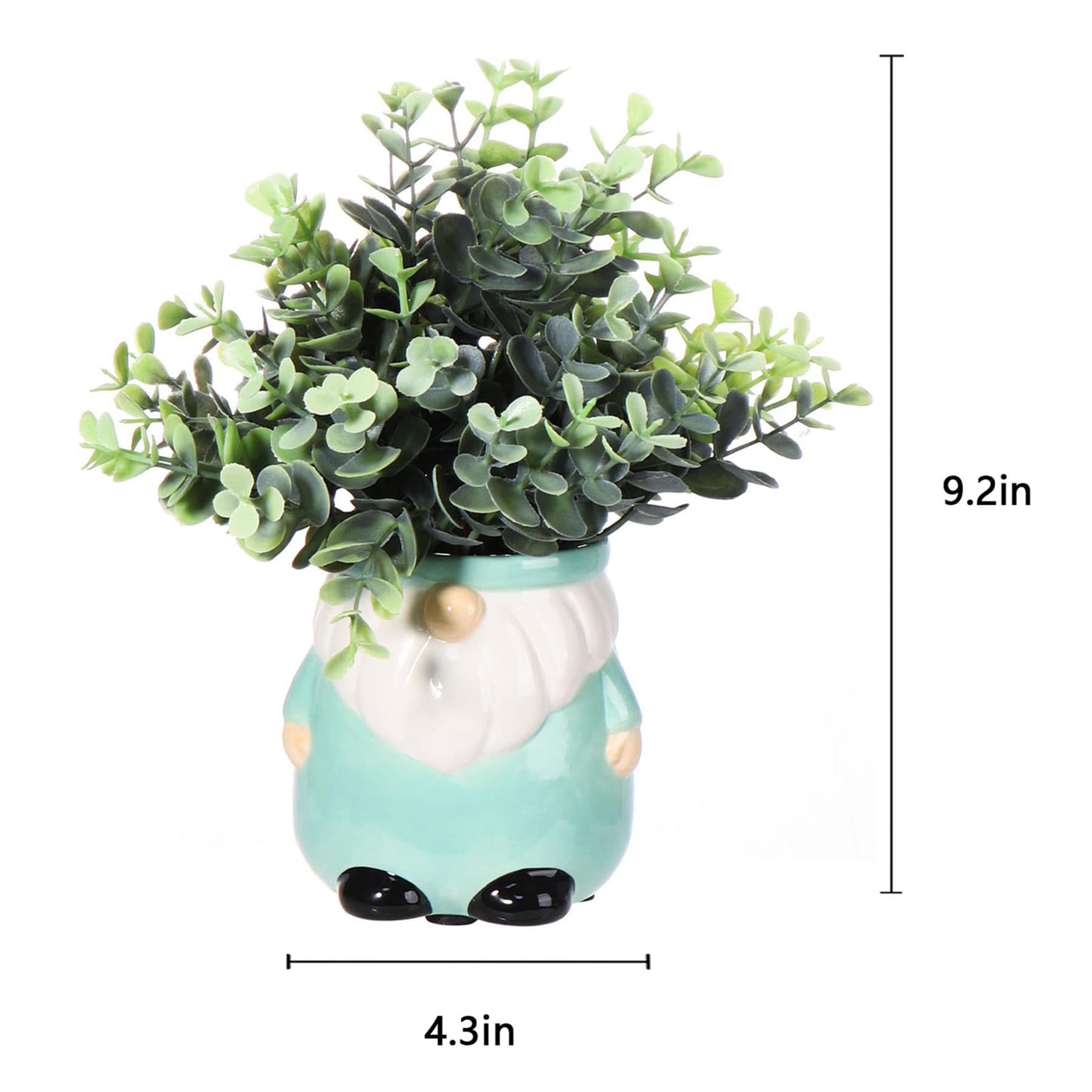 Eucalyptus in Green Gnome Pot