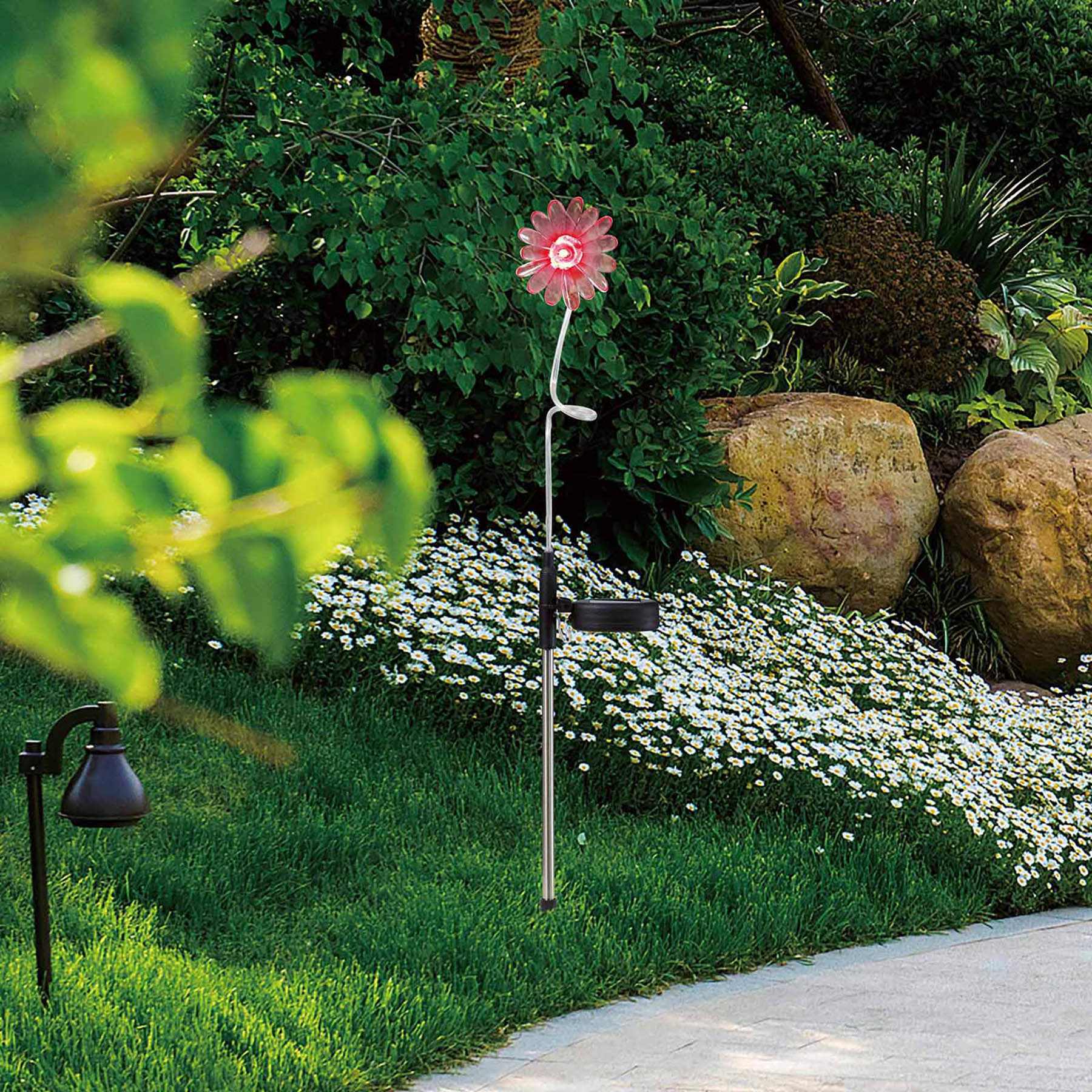 Solar Color Changing Daisy Pathway Light