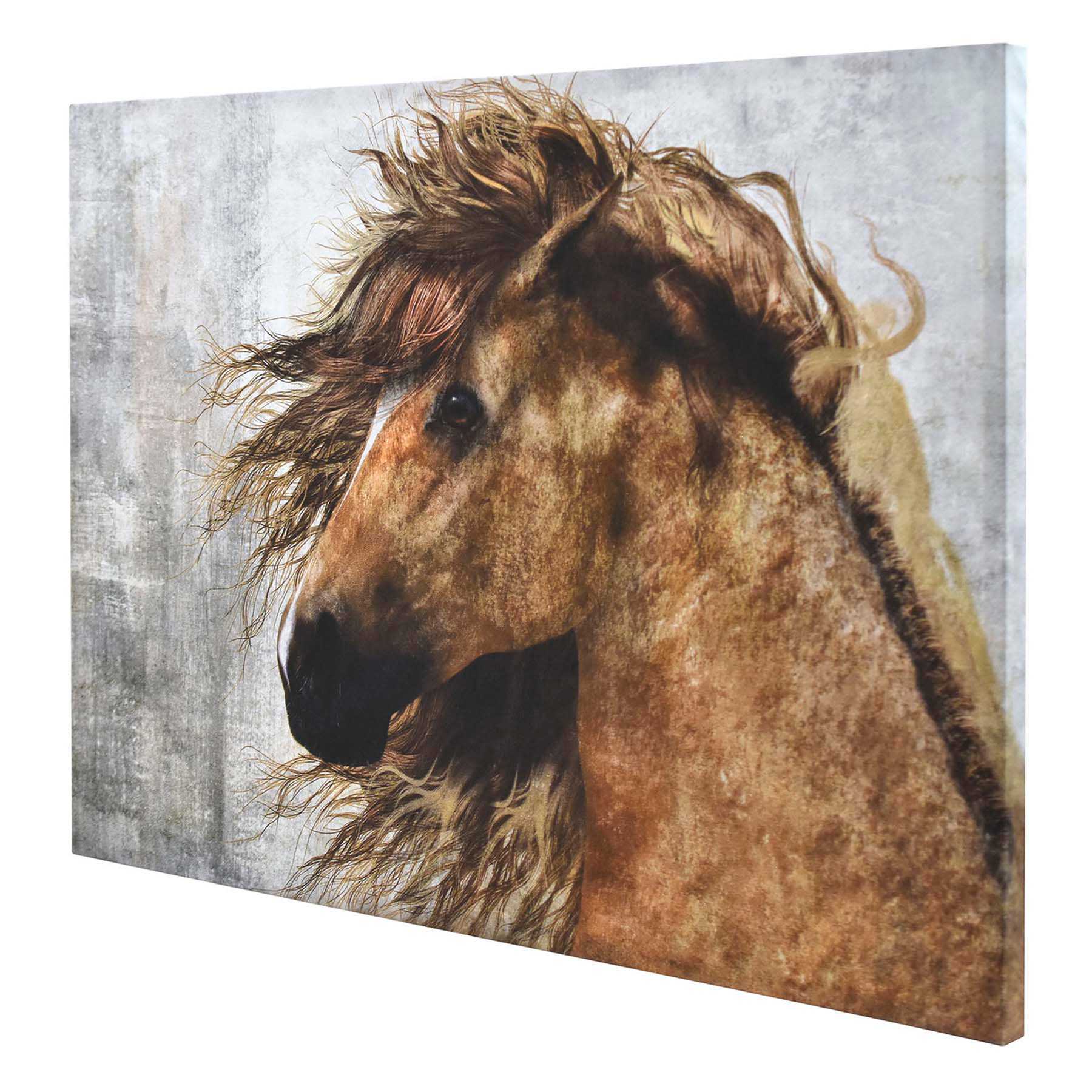 Canvas Wall Art, 36x24