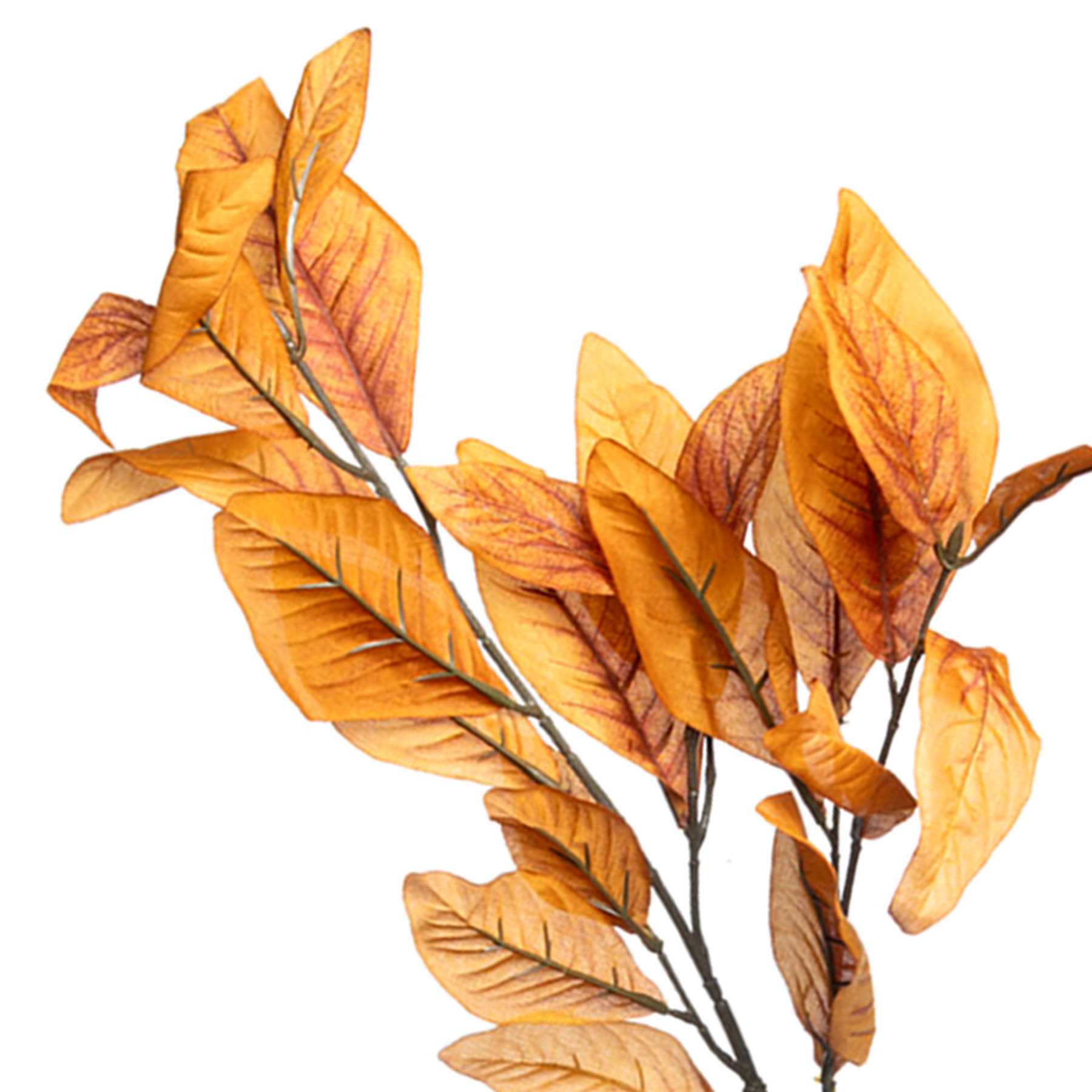 Magnolia Leaf Spray, 36"