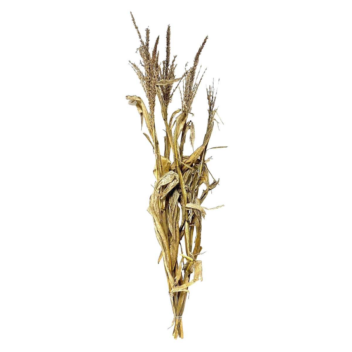 Natural Corn Flower Bunch