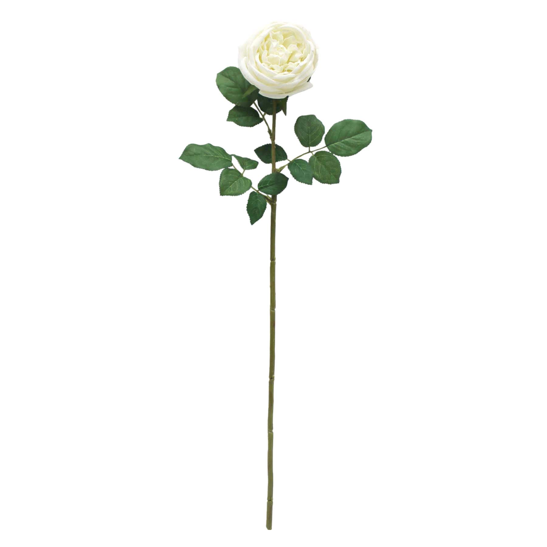 Willow Crossley Ivory Real Touch Rose Floral Stem, 25.6"