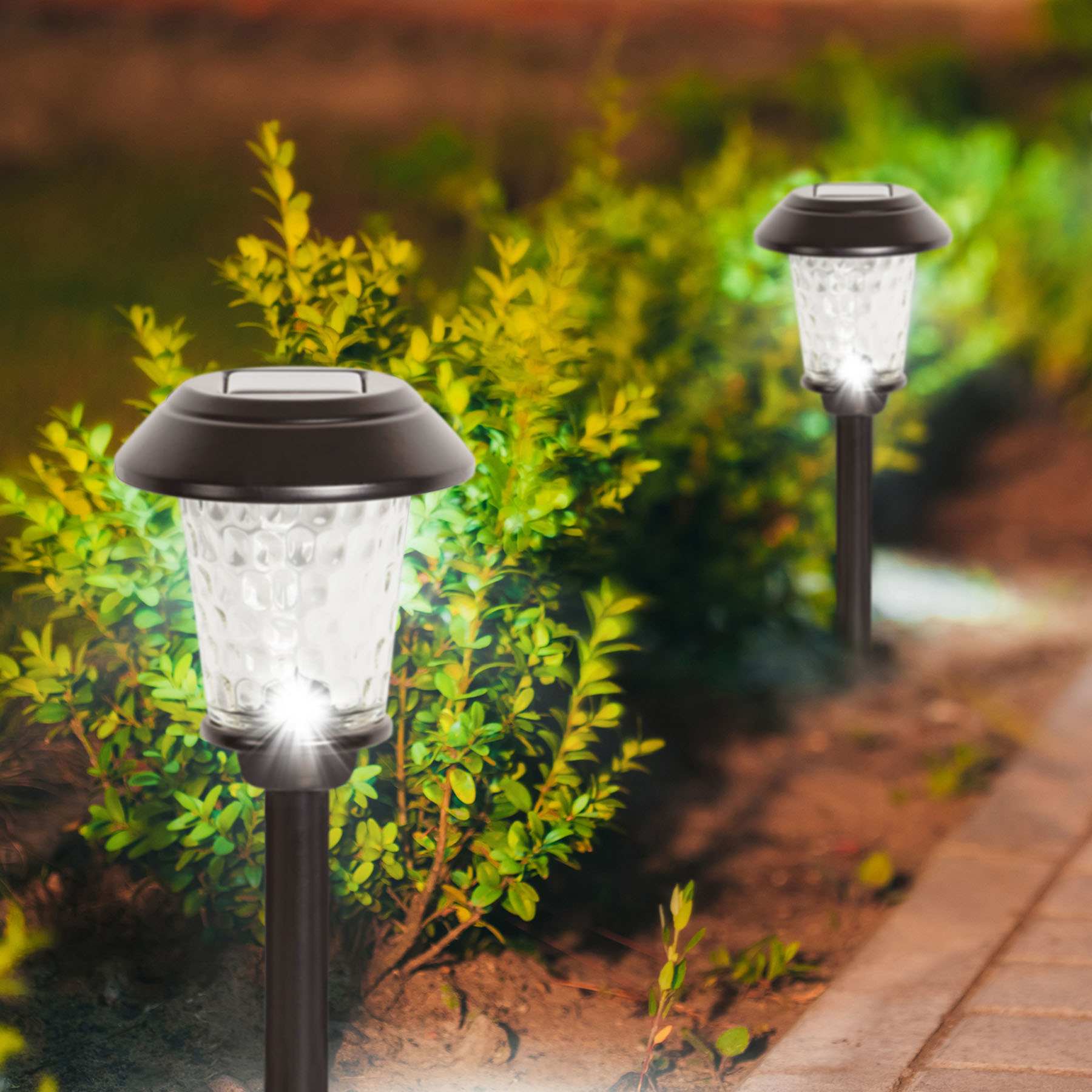 5-Lumen Solar Brown Dotted Glass Pathway Light