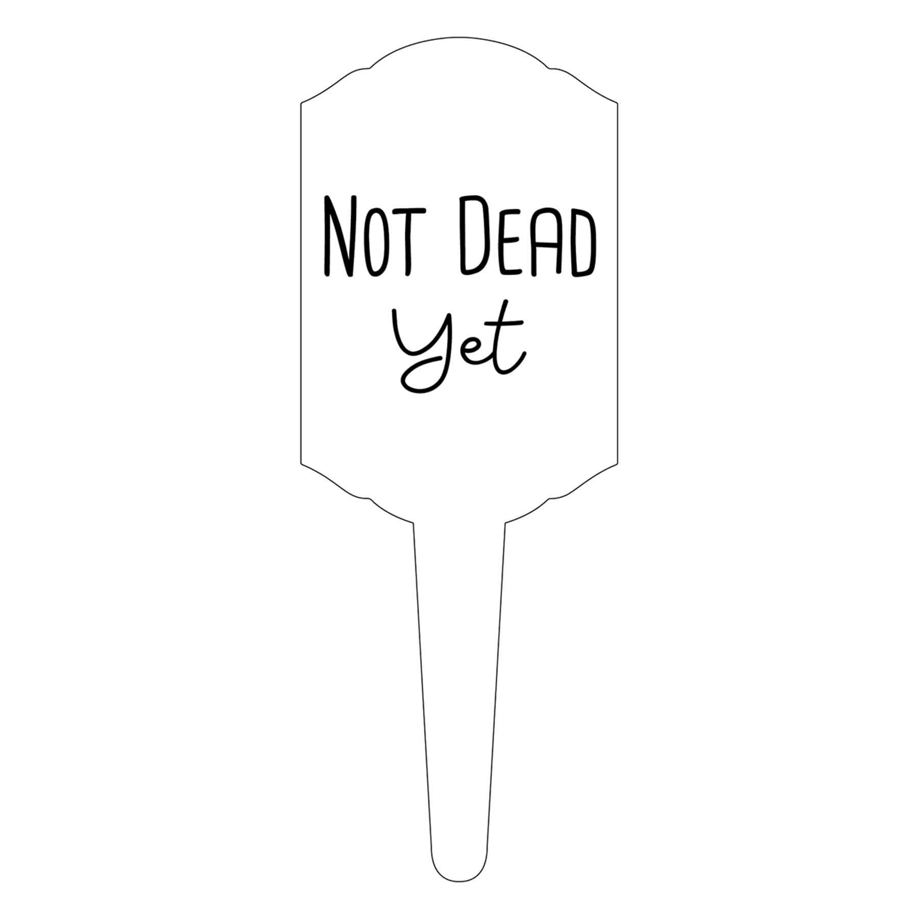 6in Not Dead Yet Pick