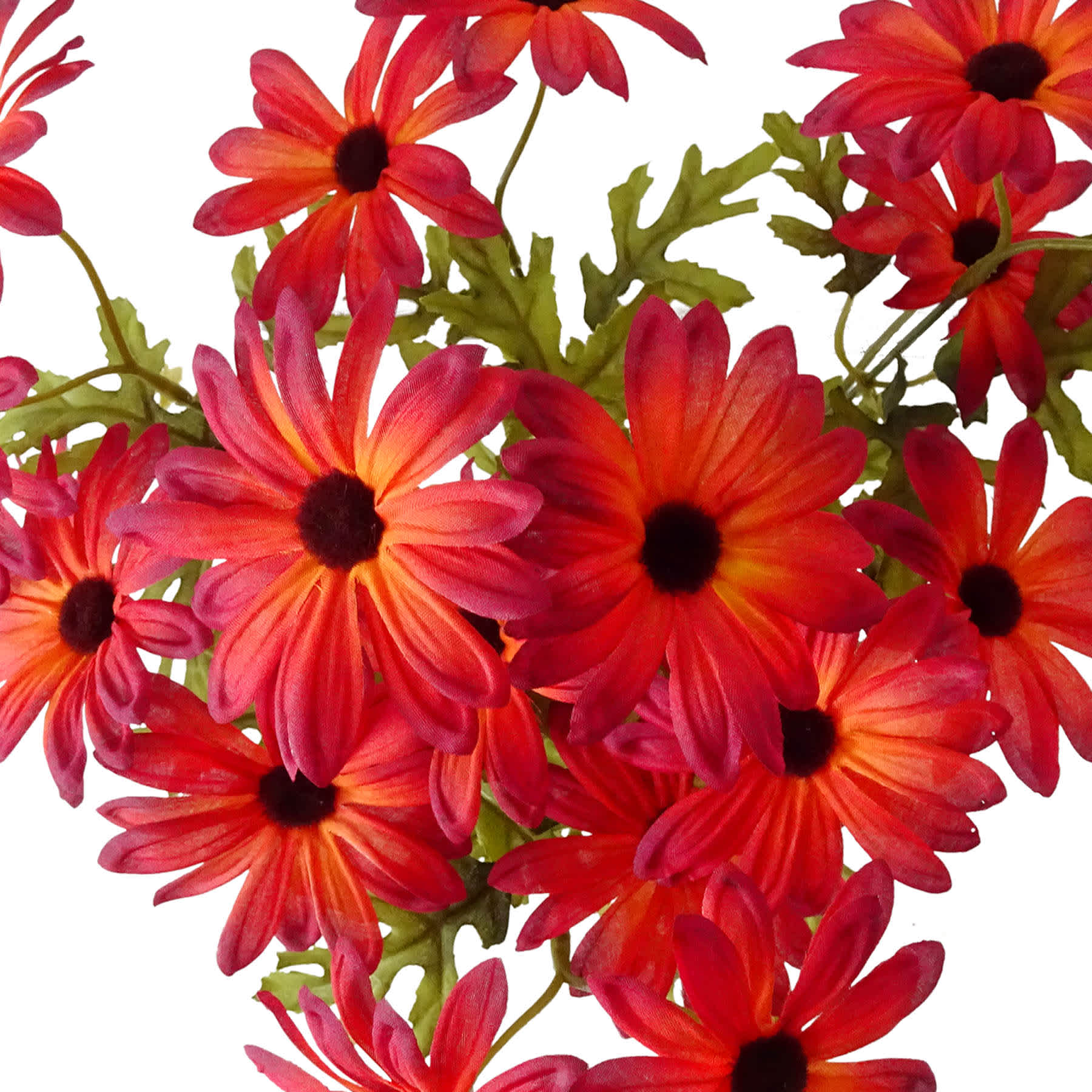 Red 20-Head Daisy Bush, 18"