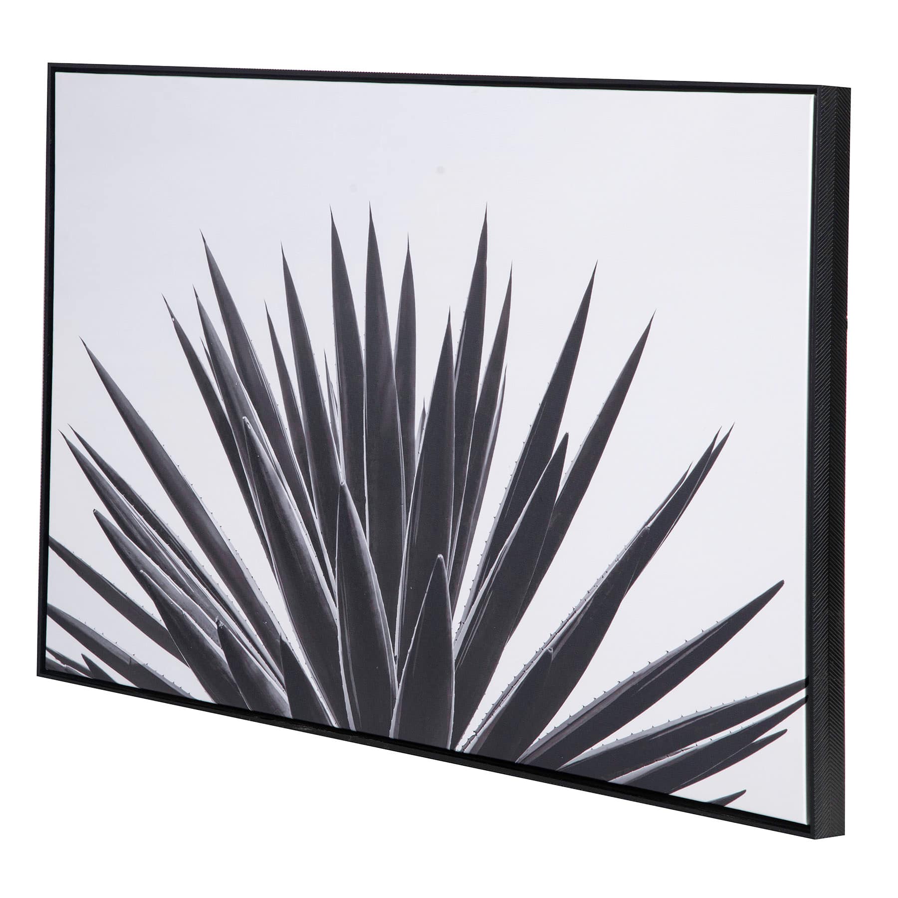 Tracey Boyd Framed Aloe Canvas Wall Art, 36x24