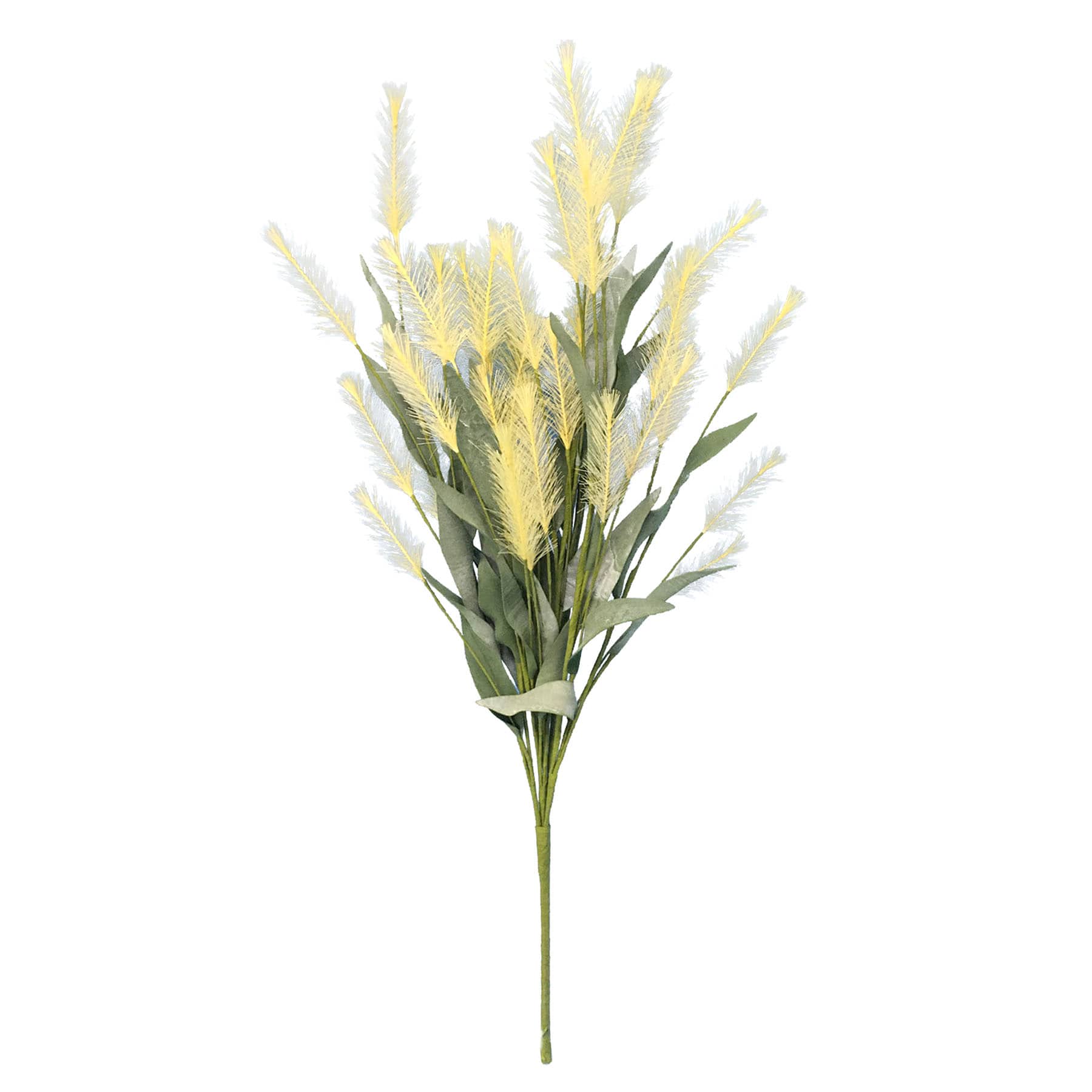 Yellow Pampas Grass Stem, 23"