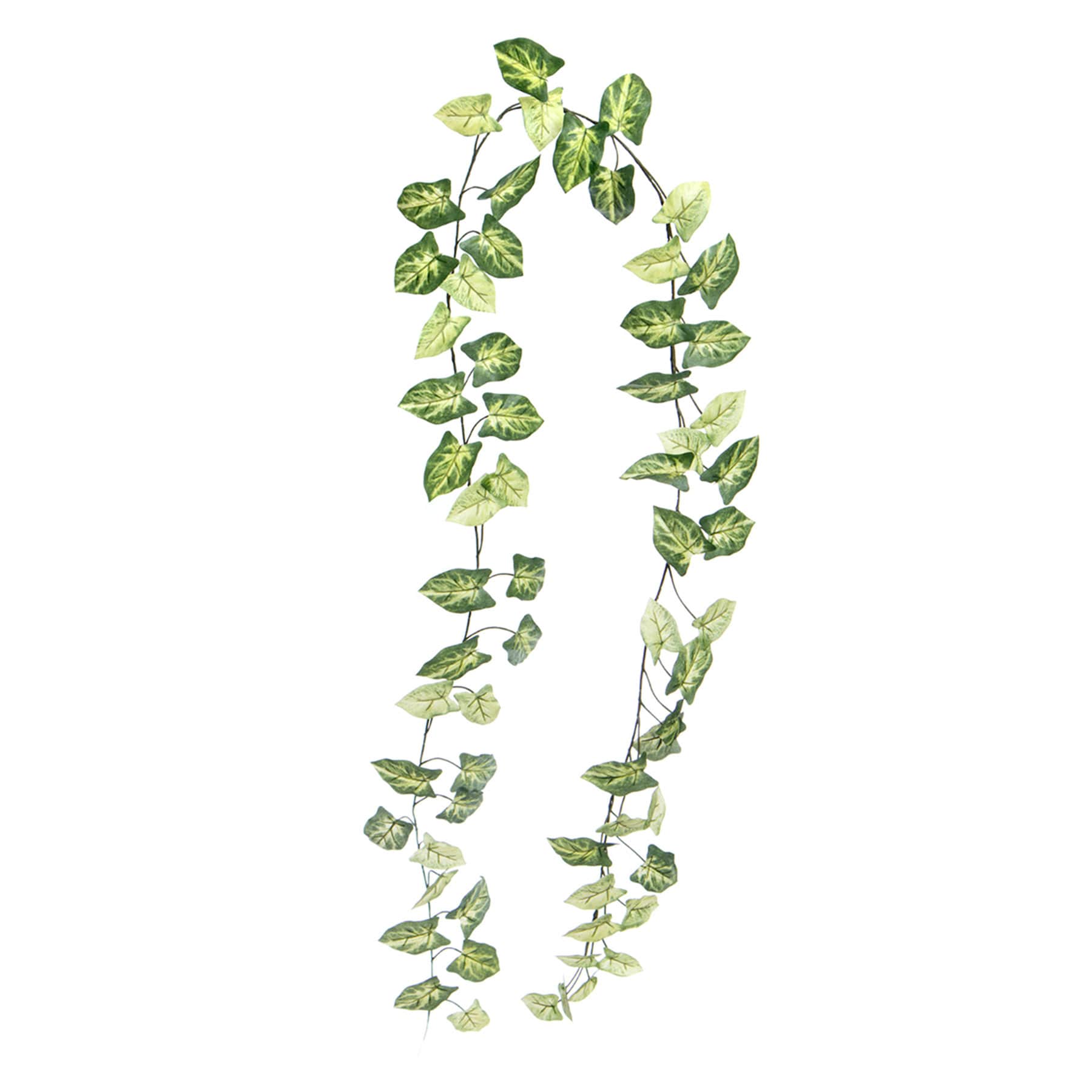 Symgonium Garland, 72"