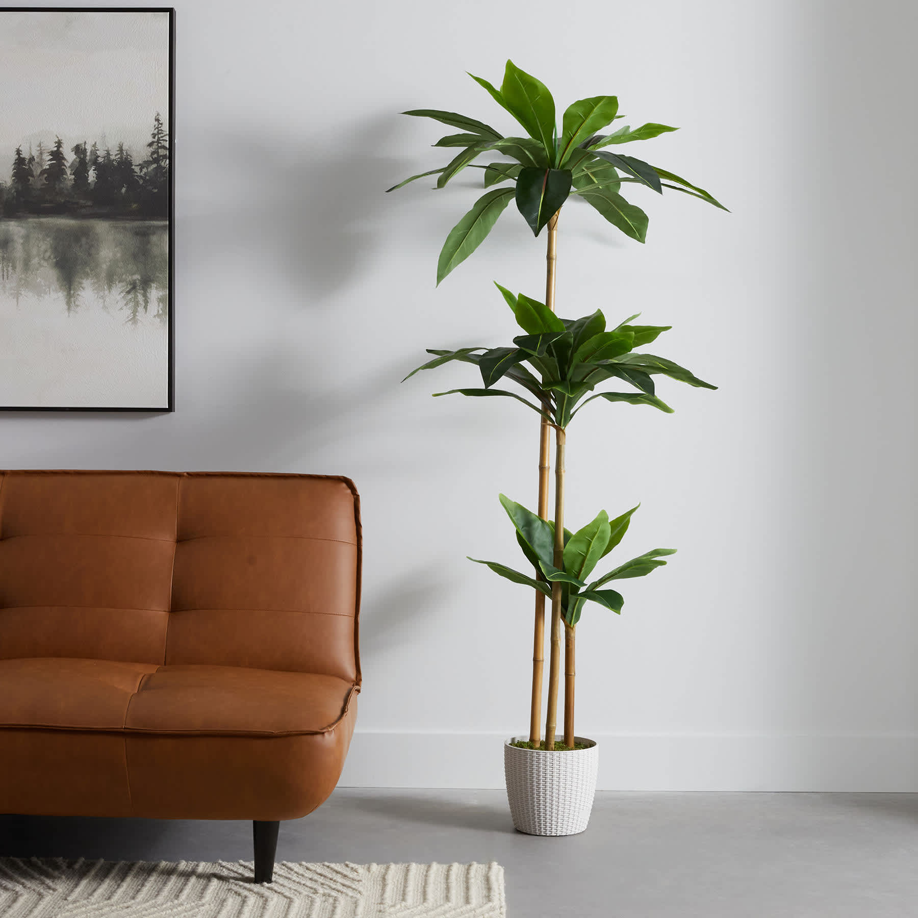 3-Head Bird's Nest Tree in White Planter, 5.5'
