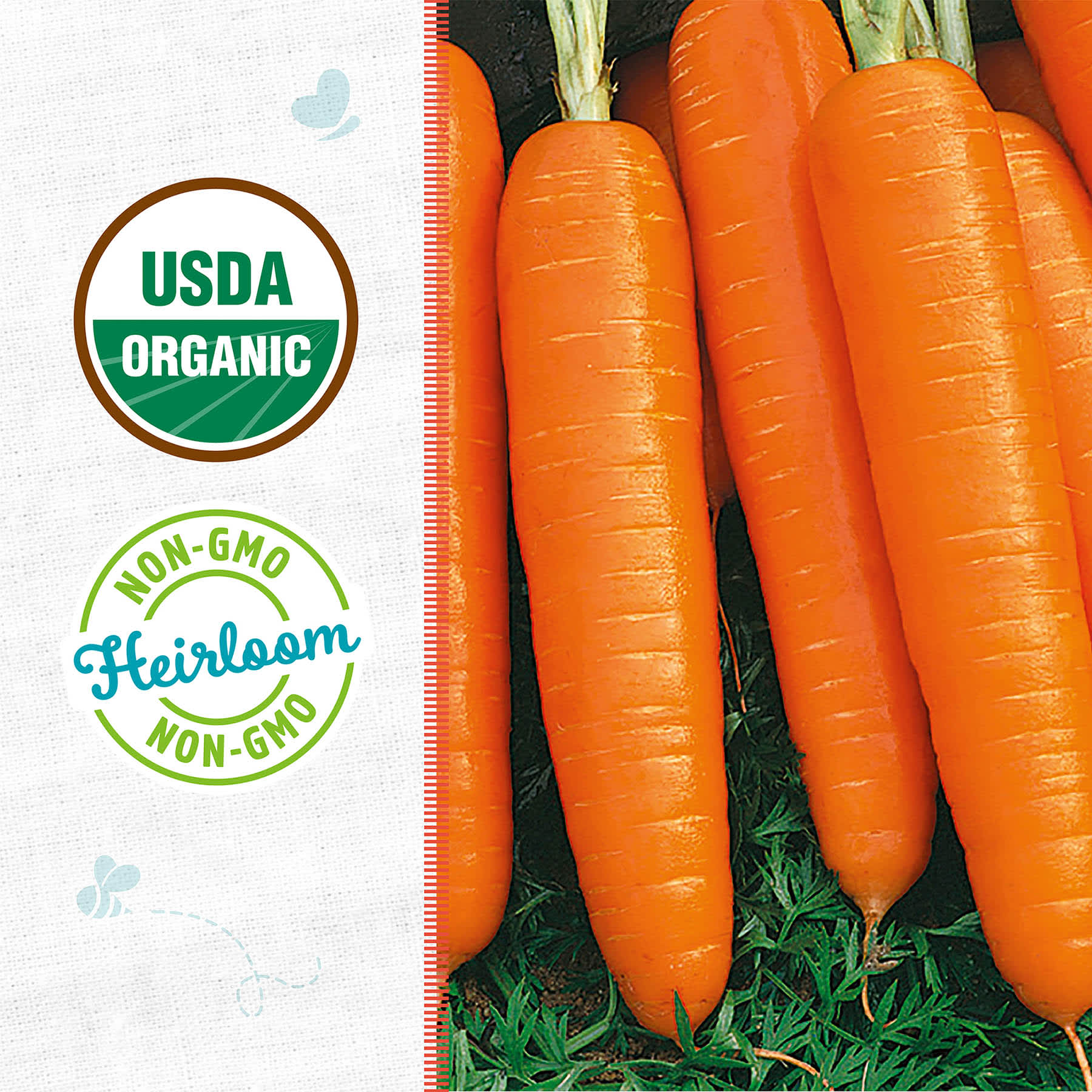 Back to Roots Heirloom Seeds, Carrot Scarlet Nantes