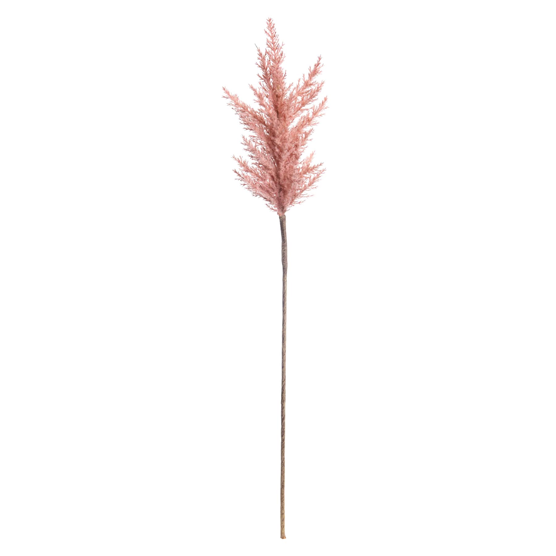 Light Pink Pampas Grass Stem, 36"
